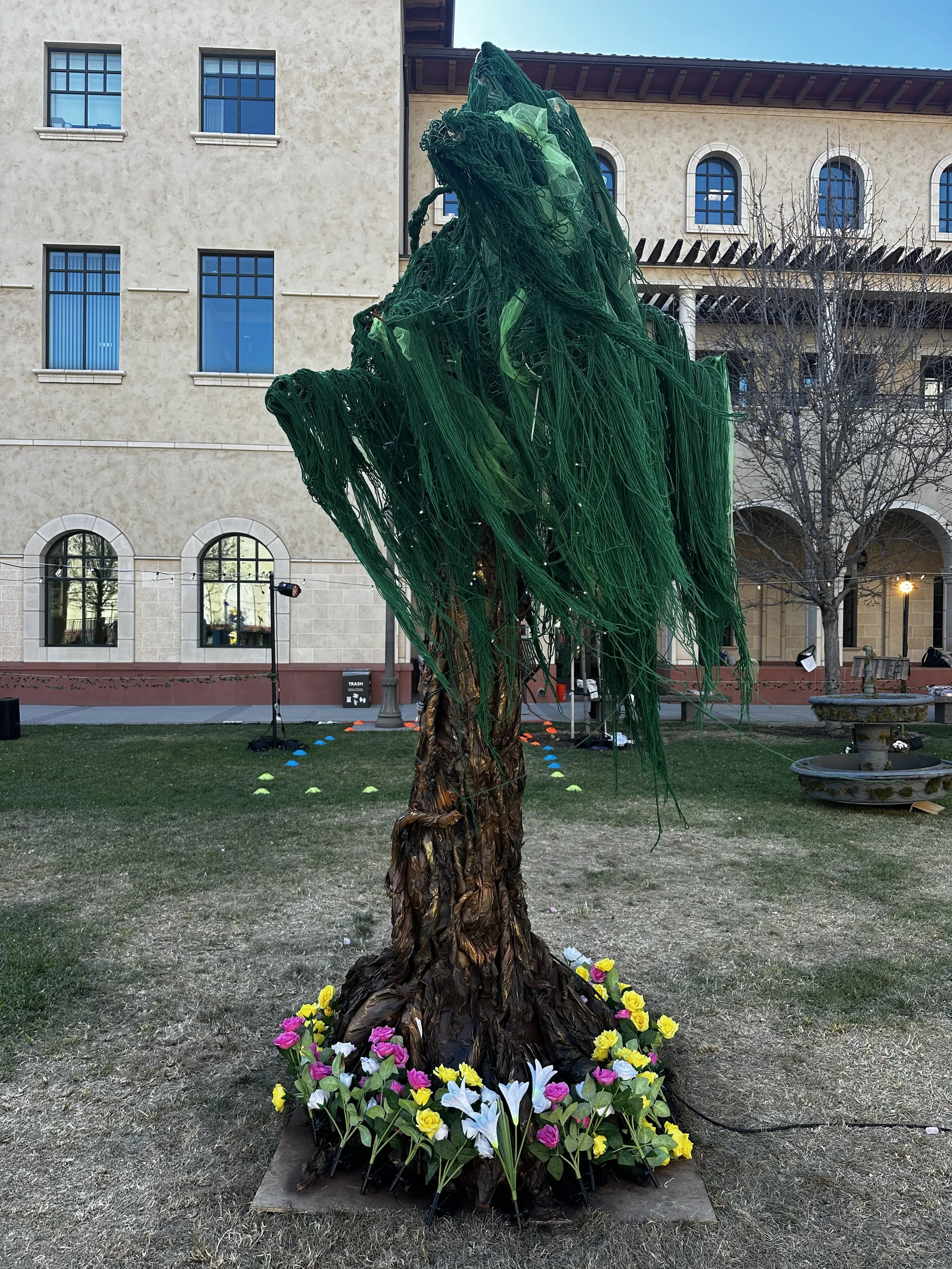 IMG_6707.jpeg