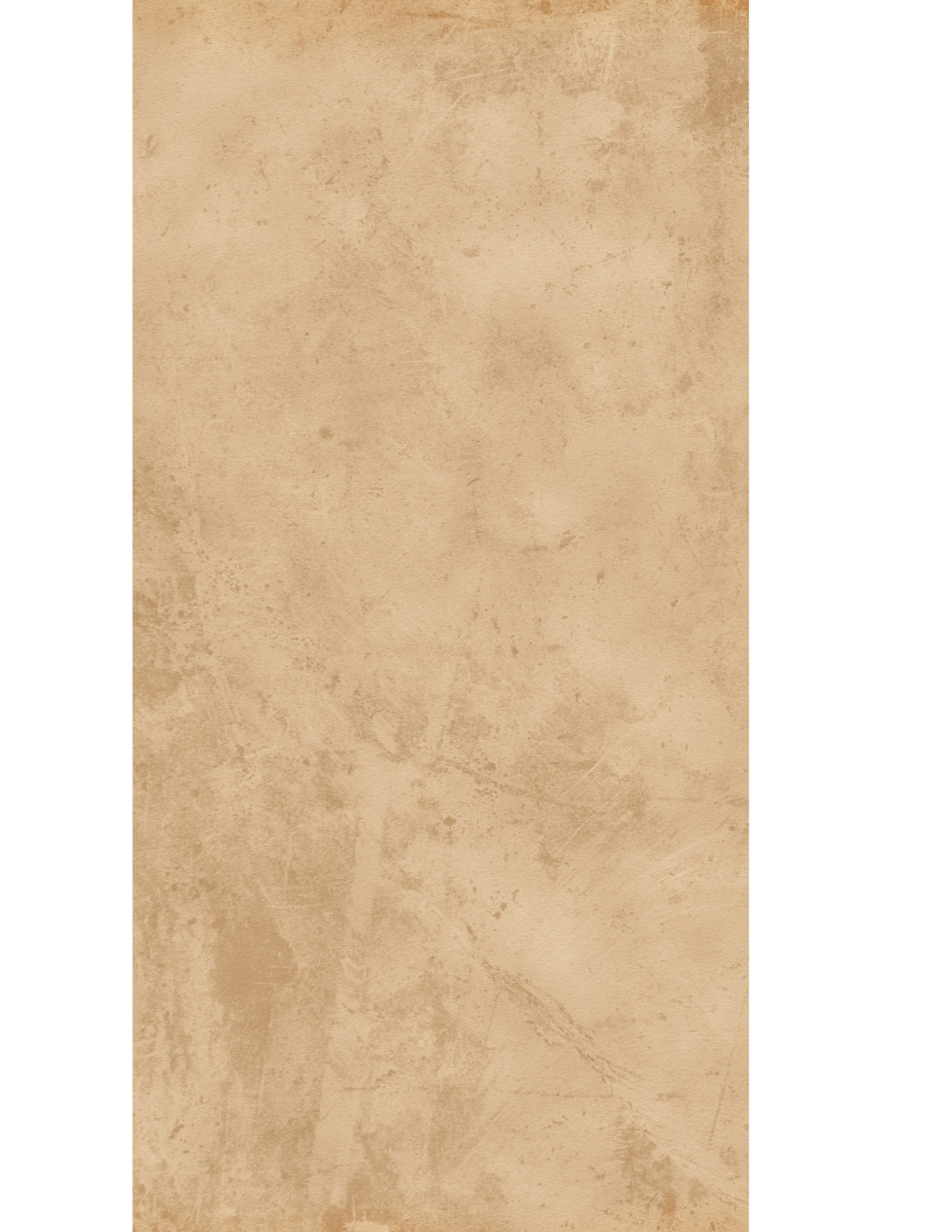 Treasure Bidders Rule Book-32.jpg