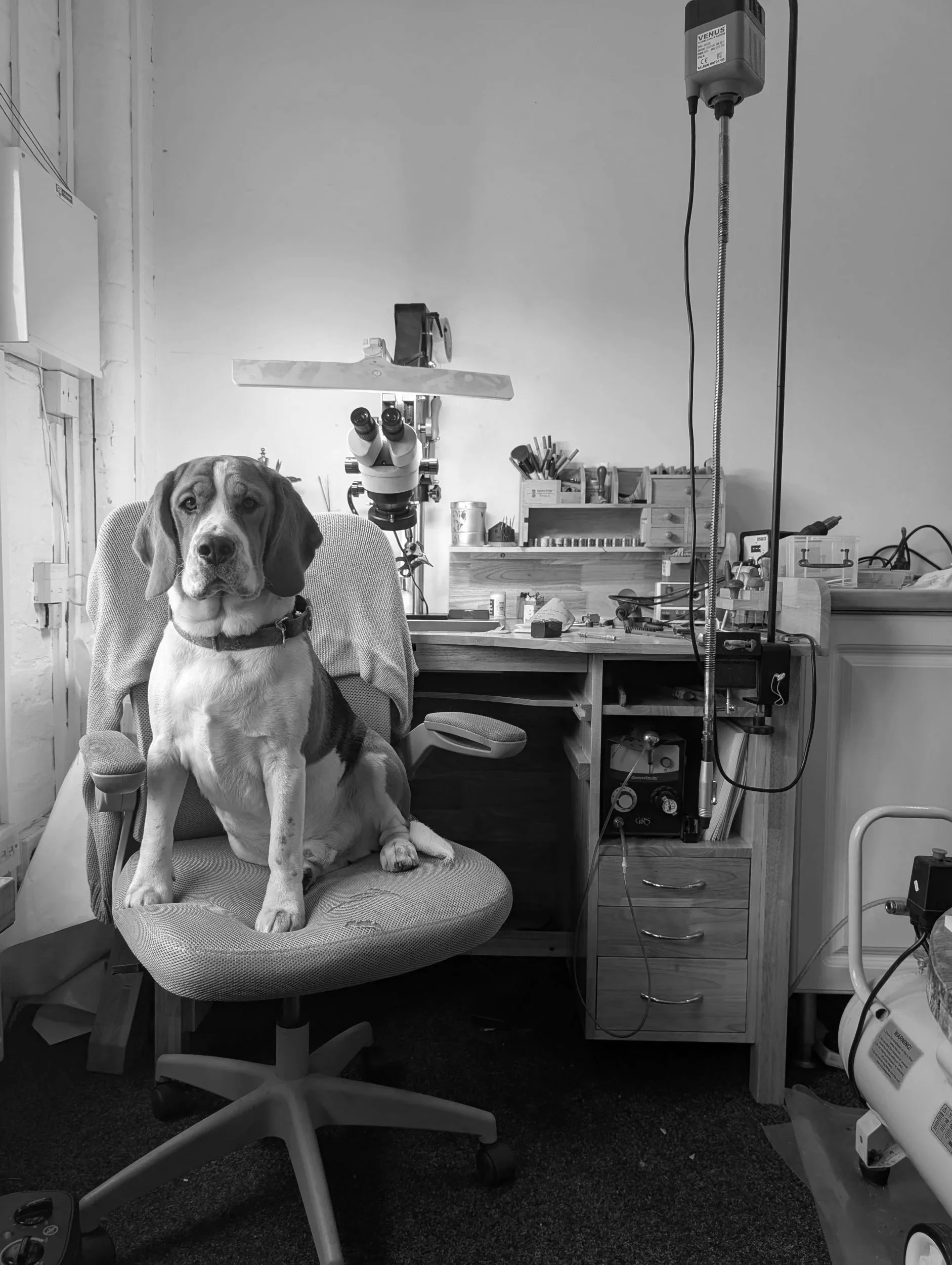 A dog sitting on an office chair in a workshop with tools, a microscope, and equipment in the background.
