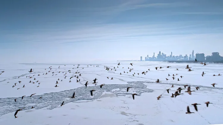 winter.webp