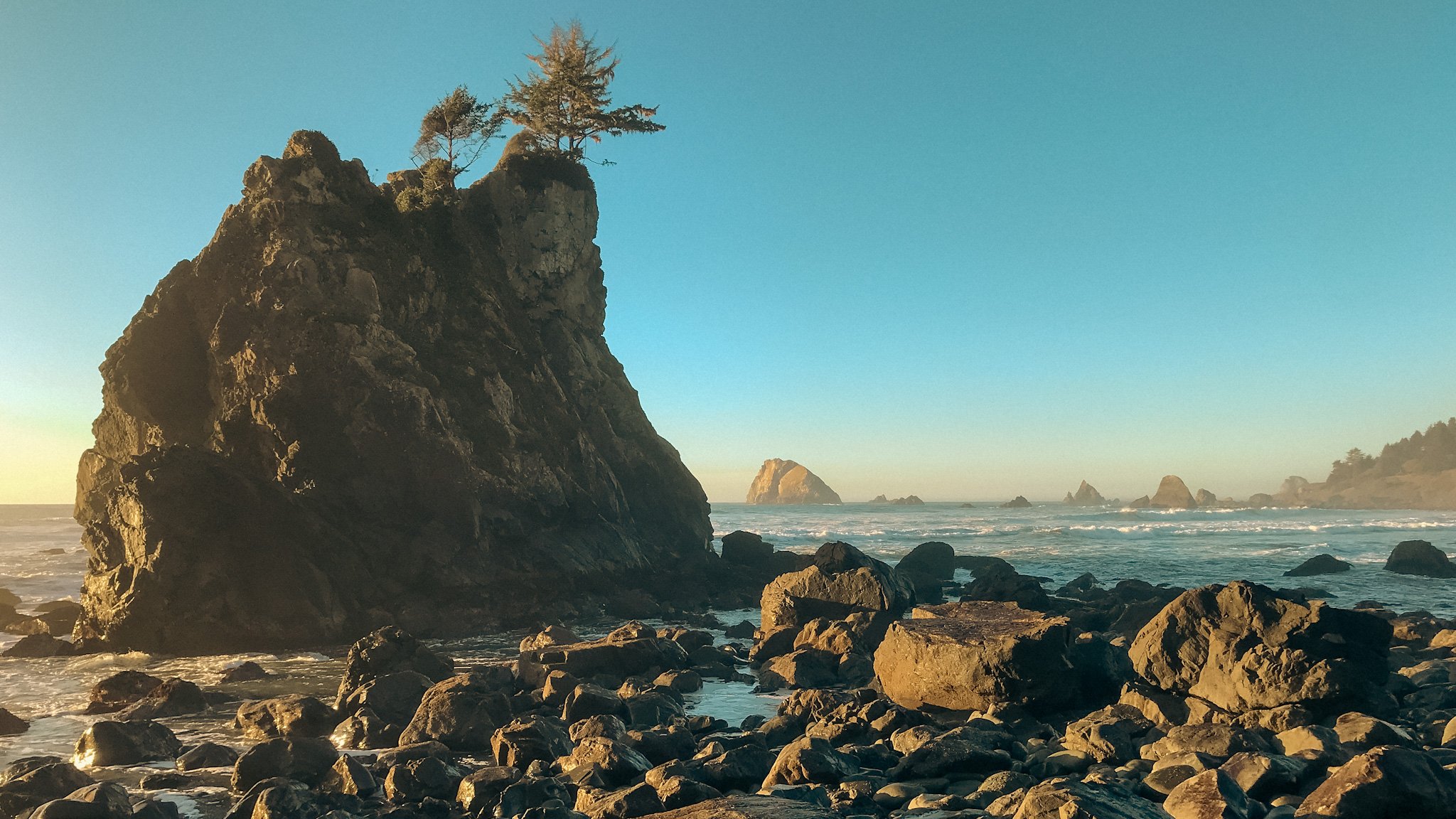 Revive Our Ocean