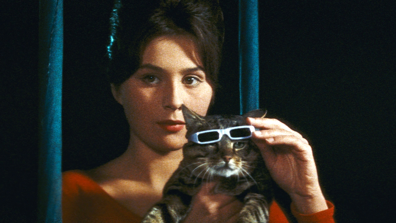 Fairytales From Around The World: The Cassandra Cat