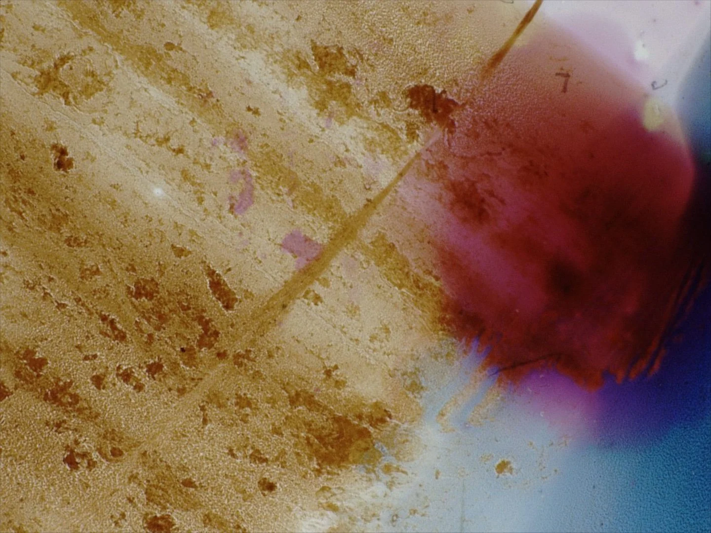 Rip It Up Workshop 5.jpg