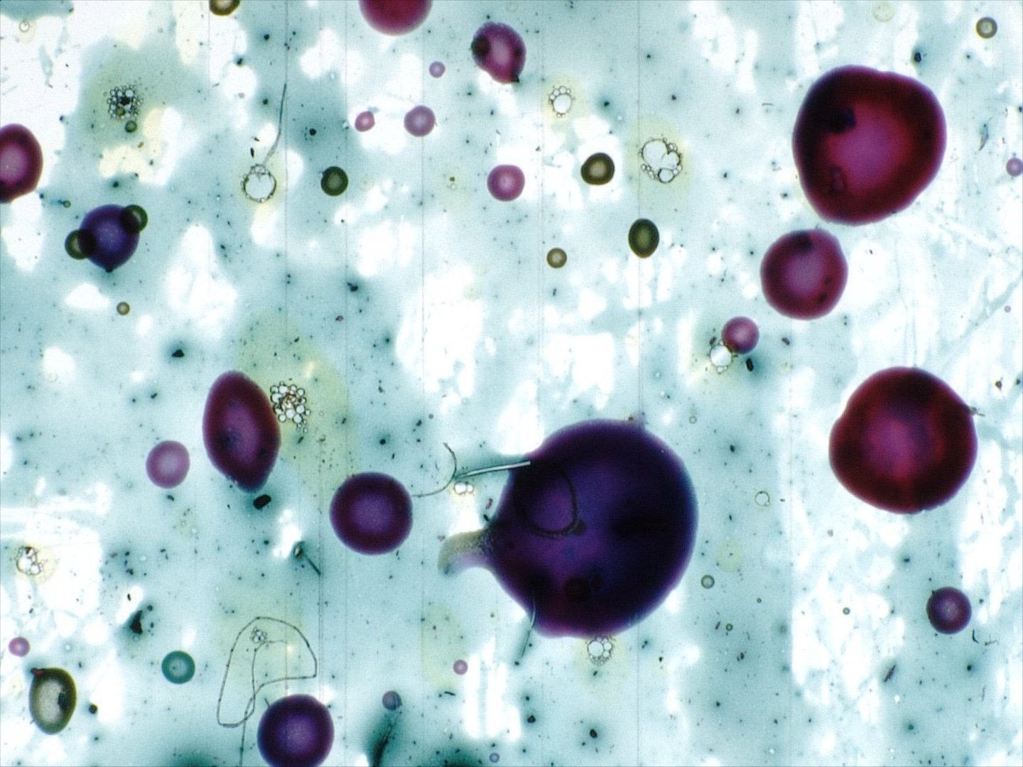 Rip It Up Workshop 6.jpg