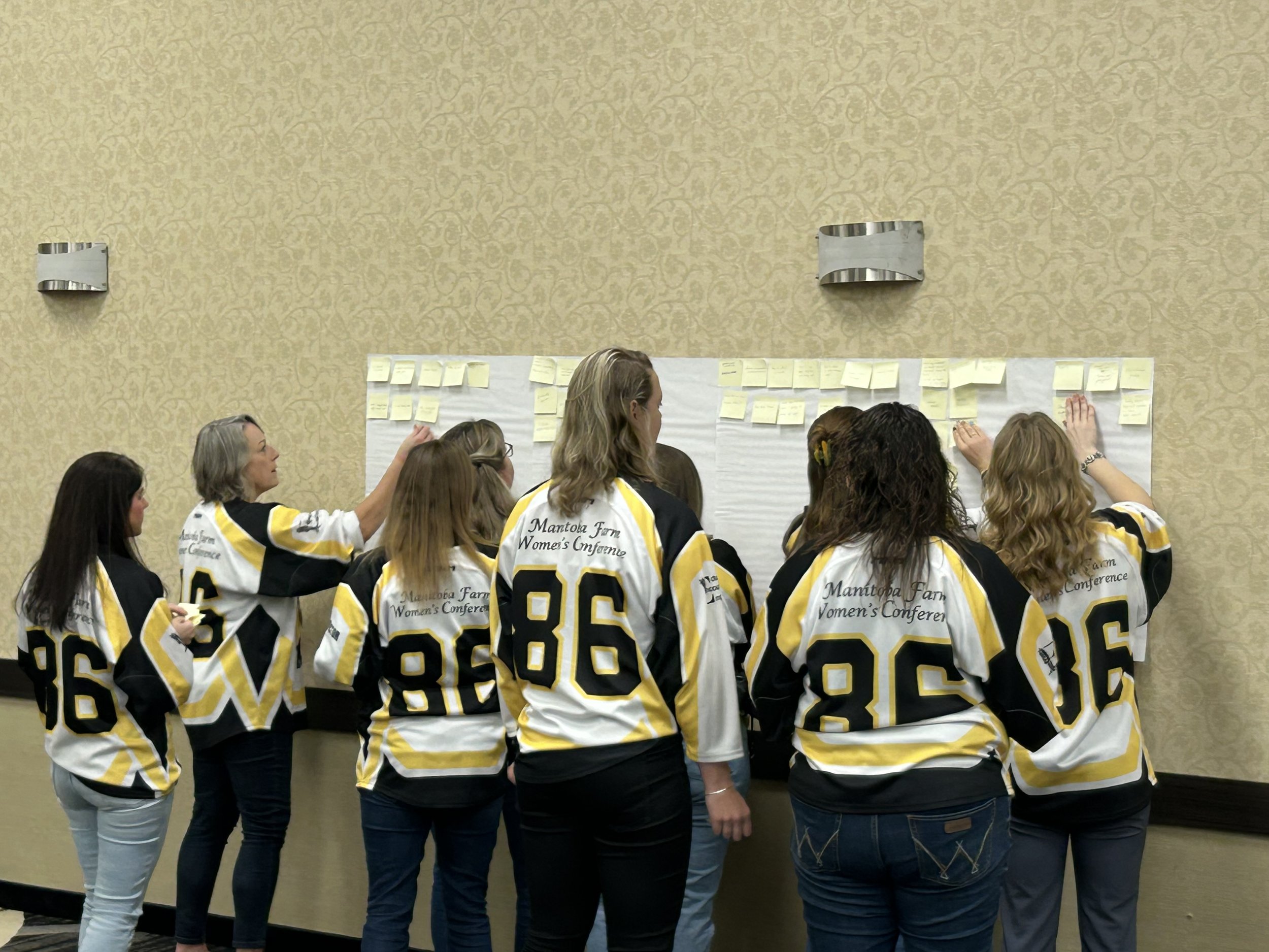 Board member jerseys