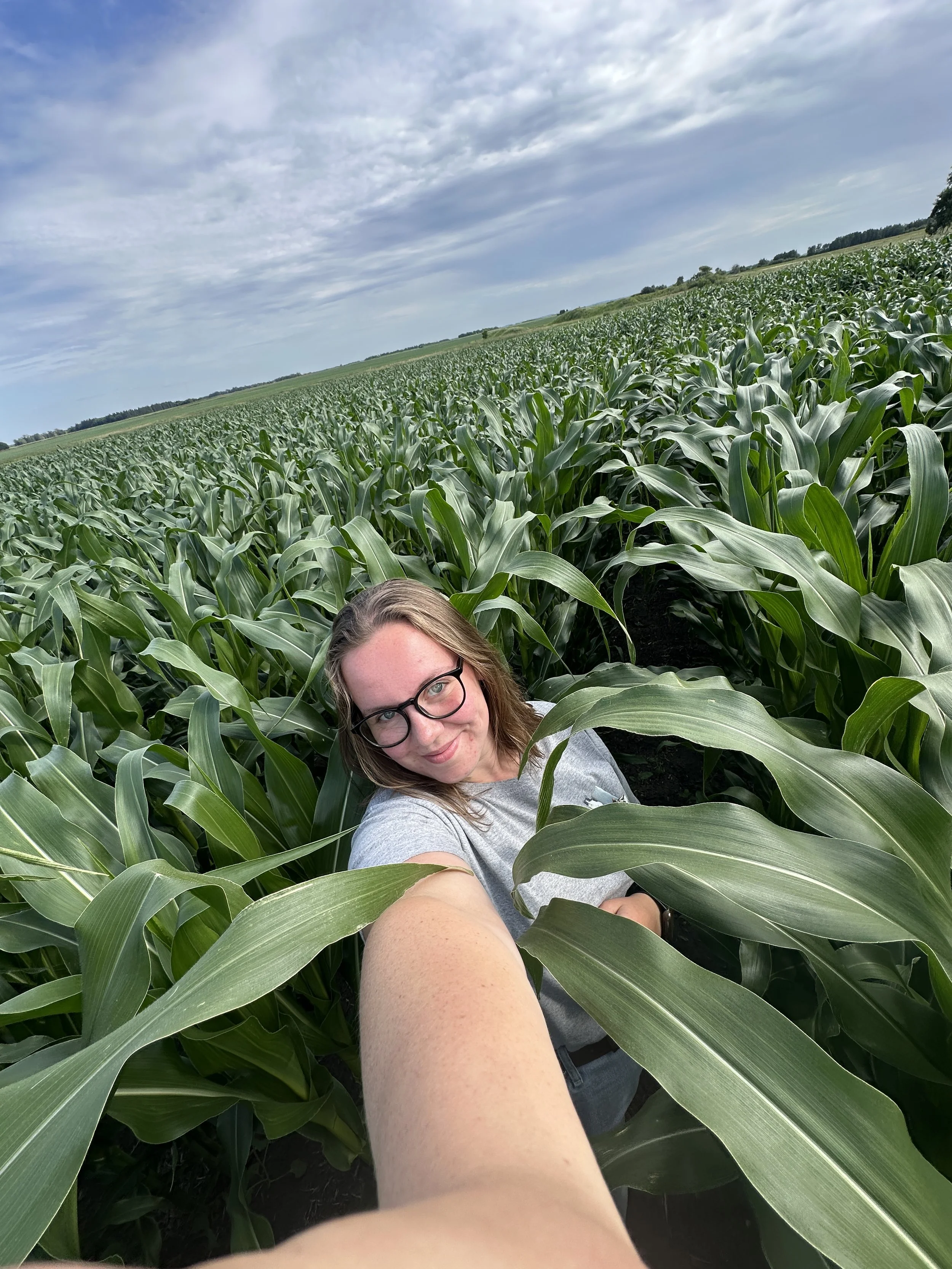 Girl In Cornfield Smiling