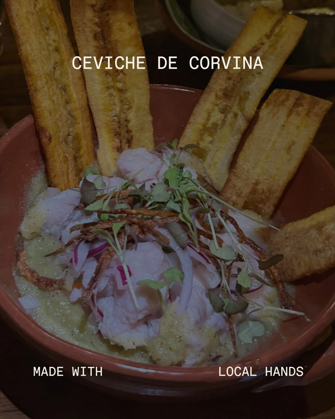 CEVICHE DE CORVINA
Aguacate, mango y jengibre pl&aacute;tanos tostados

Corvina ceviche with avocado, mango, ginger and crispy plantains.