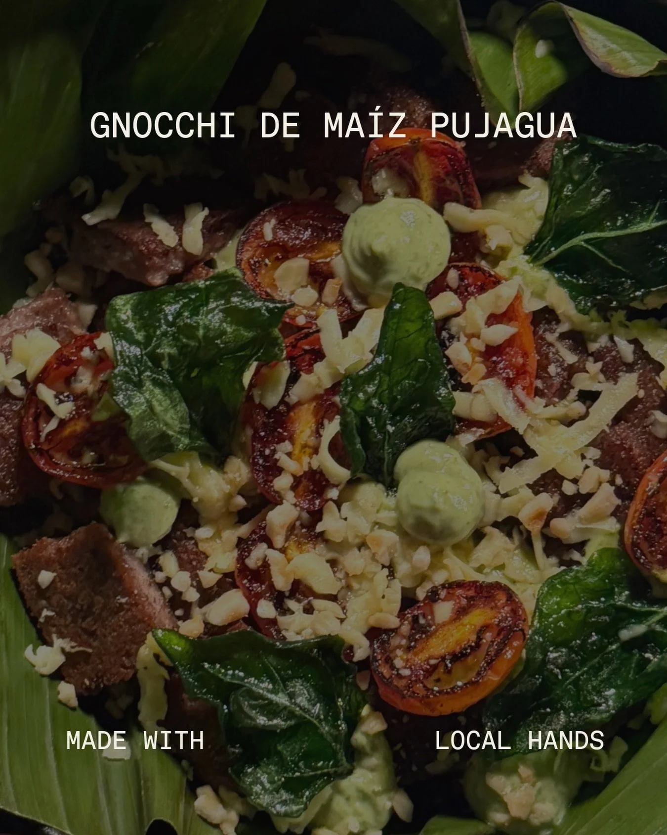 GNOCCHI DE MAIZ PUJAGUA
Mantequilla tostada, salsa de espinaca, queso ahumado, tomate, hierbas.

Pujagua corn gnocchi with toasted butter, spinach sauce, smoked cheese, tomato and herbs.