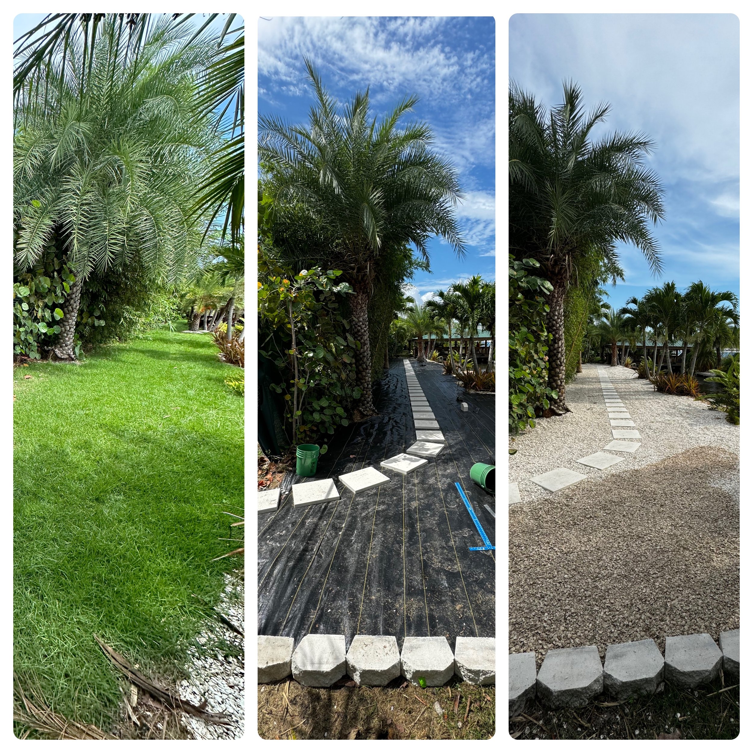 A triptych of images showing the progression of a landscaping project featuring palm trees and other plants. The first image displays a green lawn with lush palm trees and tropical vegetation. The second image shows a pathway under construction with concrete pavers being laid, surrounded by palm trees and a bright blue sky with clouds in the background. The third image depicts a completed pathway made of stone pavers with gravel and landscaping border around it, under a partly cloudy sky.