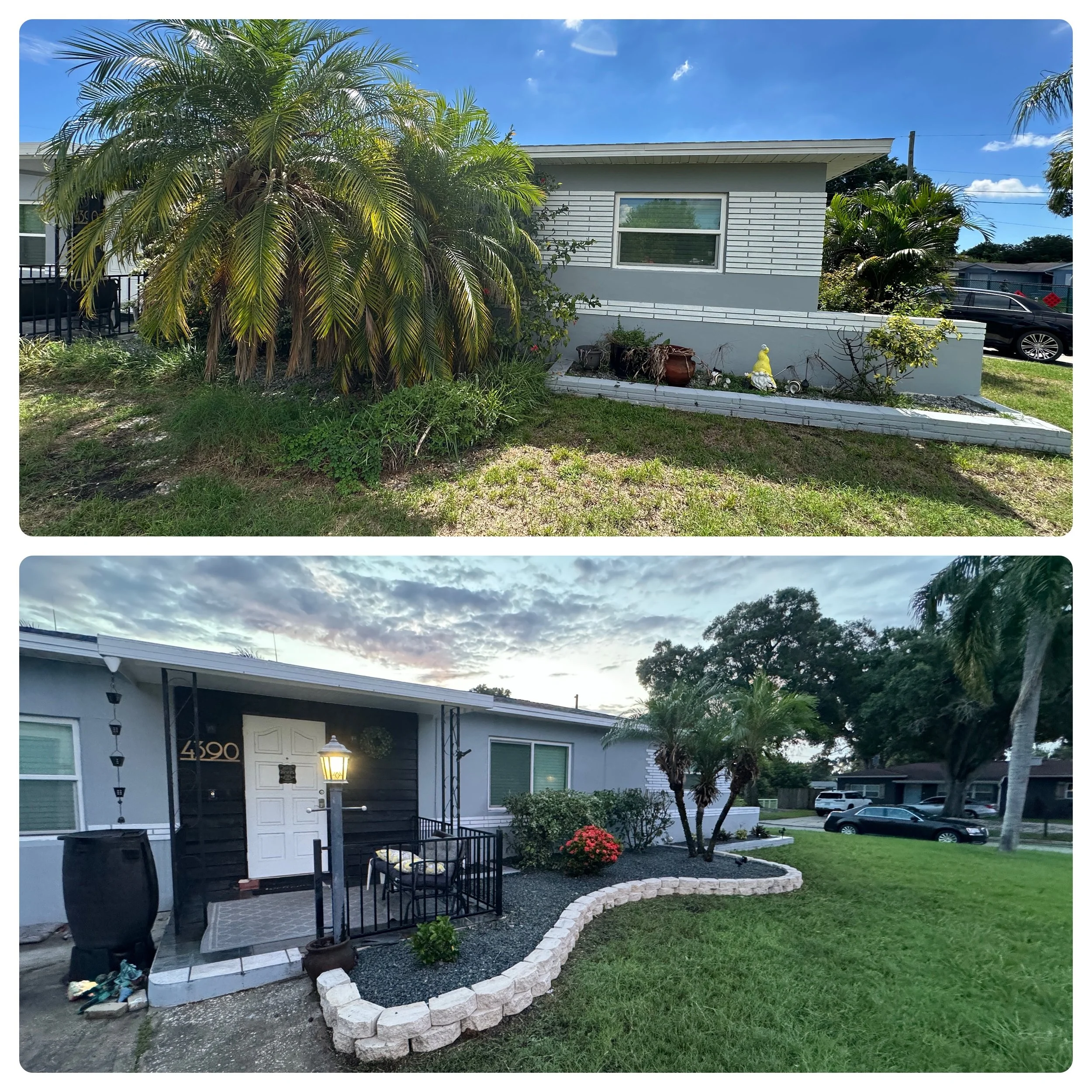 Comparison of front yards of a house, showing a before and after landscape transformation, with the after yard featuring a manicured lawn, neatly arranged plants, and a white stone border.