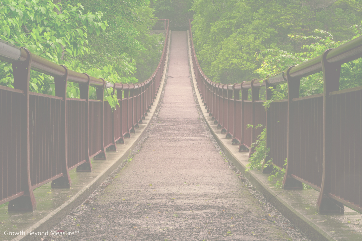 A narrow bridge with railings on both sides, surrounded by lush green trees and foliage, extending into a foggy or misty background.