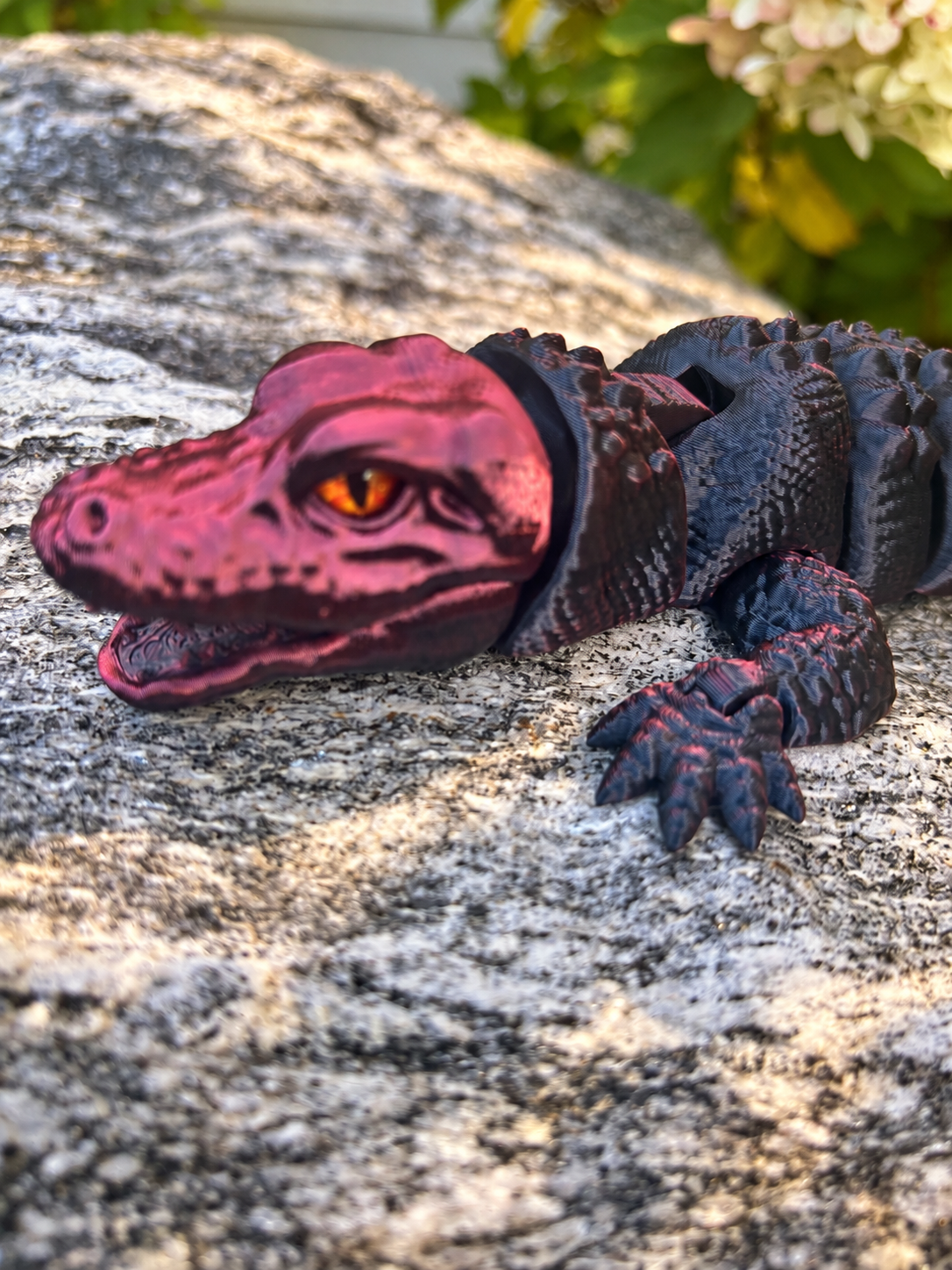 Savannah Copper Croc Maroon:Black head.PNG