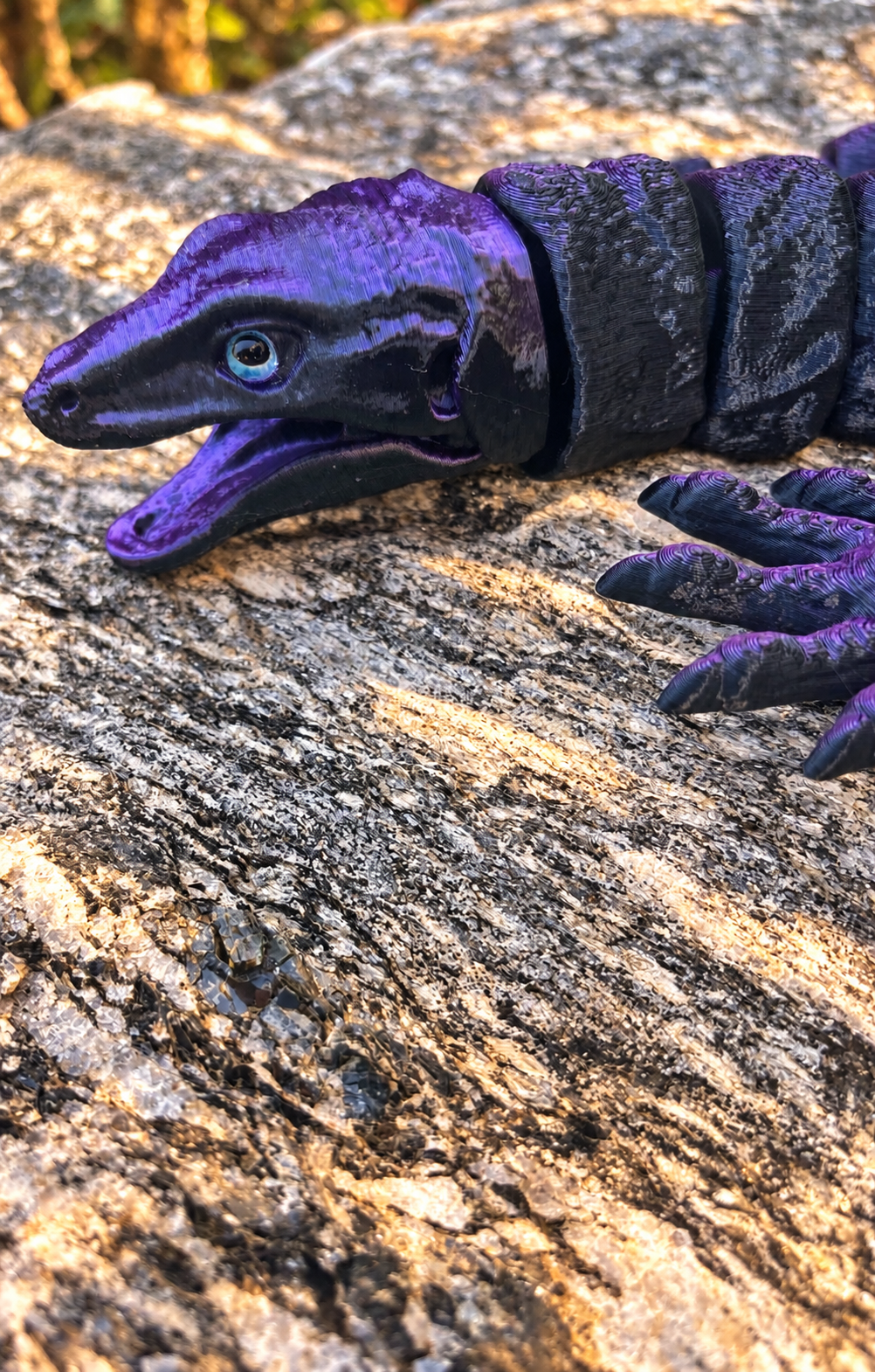 Killimanjaro Night Black:Purple head.PNG