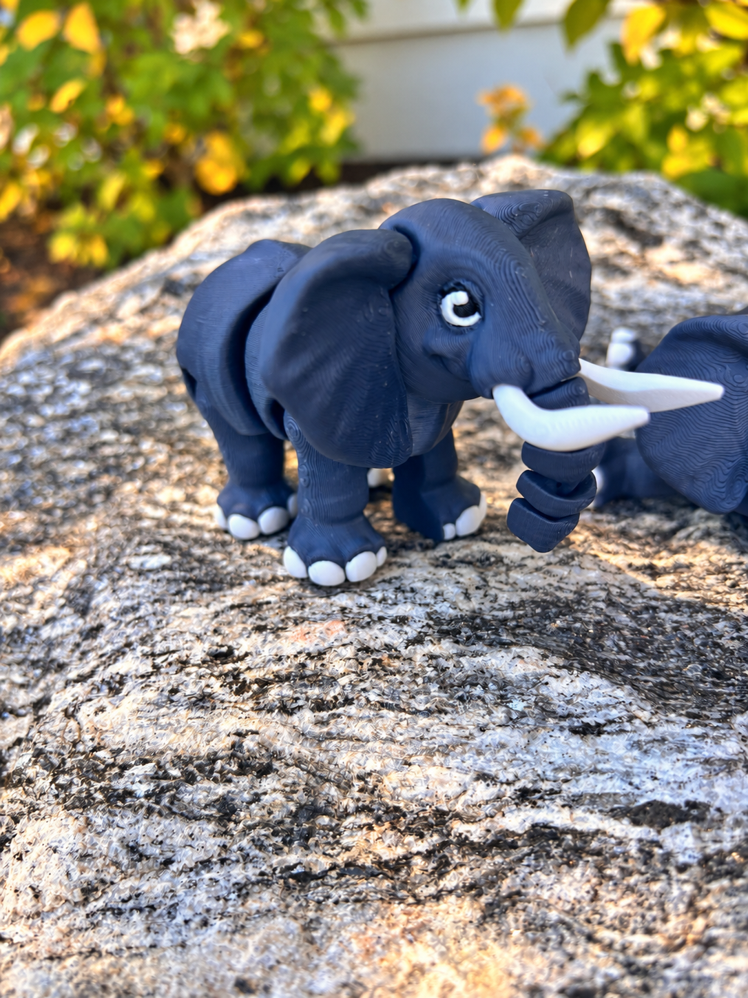 Elephant Tusk one.PNG