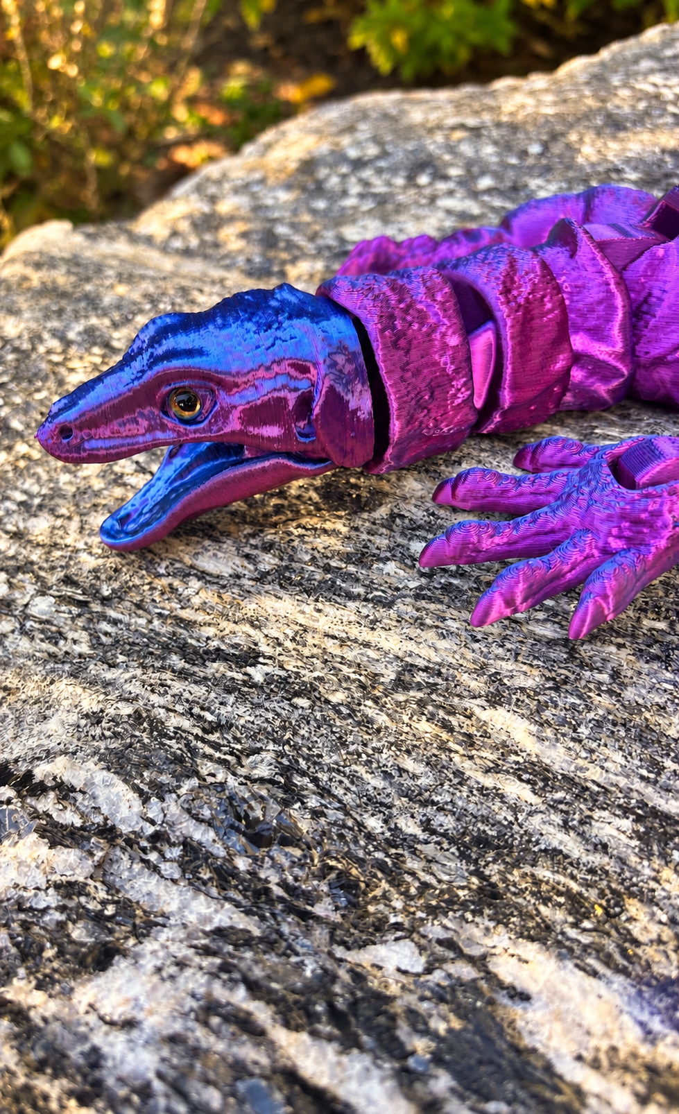 Killimanjaro Sunset Purple:Blue head.PNG