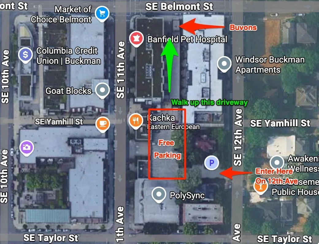 Map showing directions to Kachka restaurant, with landmarks including Banfield Pet Hospital, Windsor Buckman Apartments, and Columbia Credit Union. Markings indicate where to park for free and a walk-up driveway from SE 12th Ave.