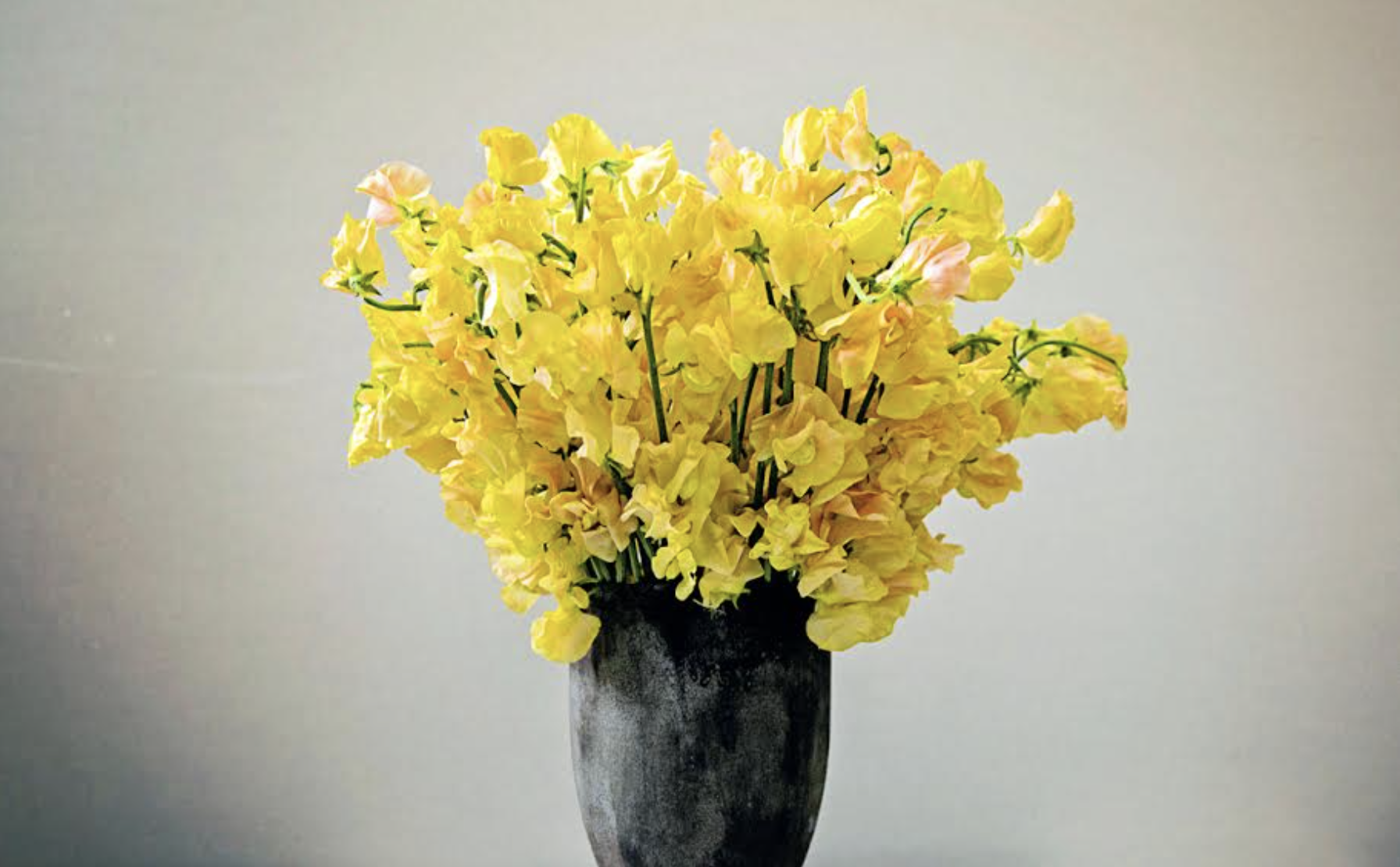 A large bouquet of yellow flowers in a black vase against a neutral background.