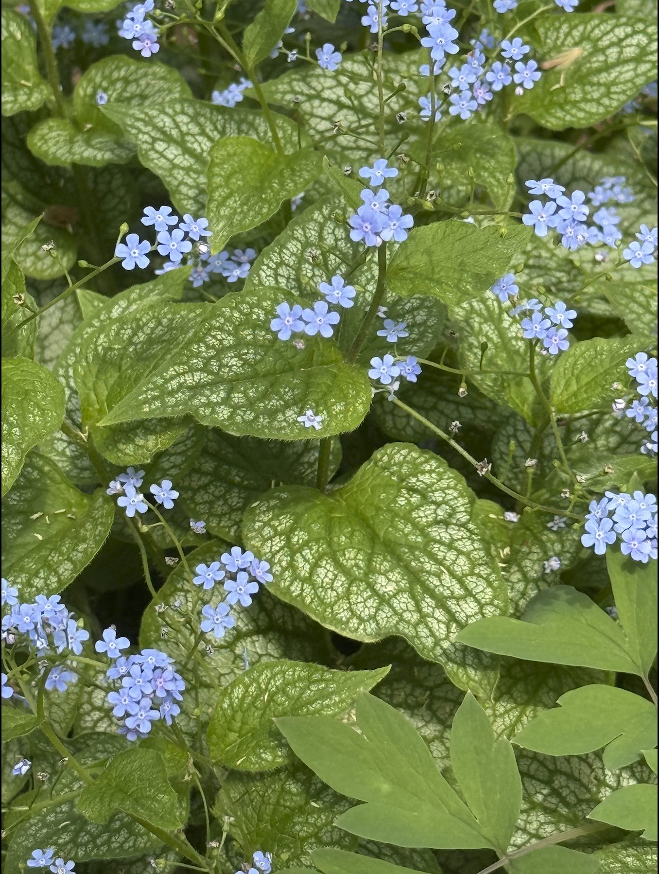 Screenshot 2026-04-21 at 1.13.17 PM.png