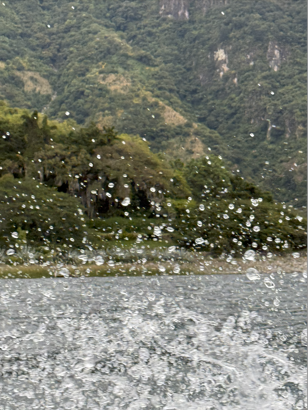 View of a lake with mountains and trees in the background, seen through raindrops on a window.