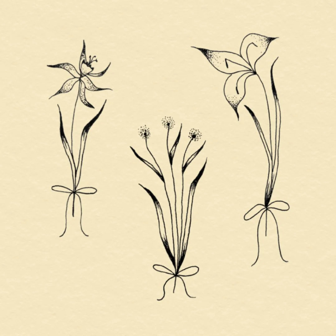 JPEG image-8B594899A9EB-1.jpeg