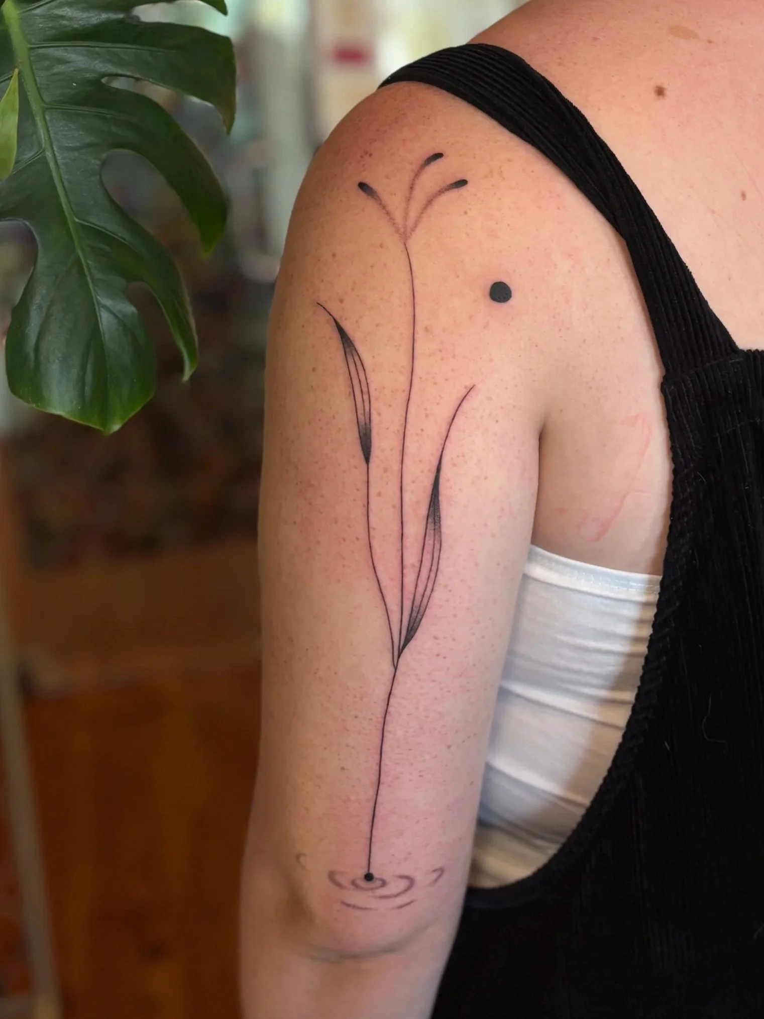 big+plant+on+arm.jpg