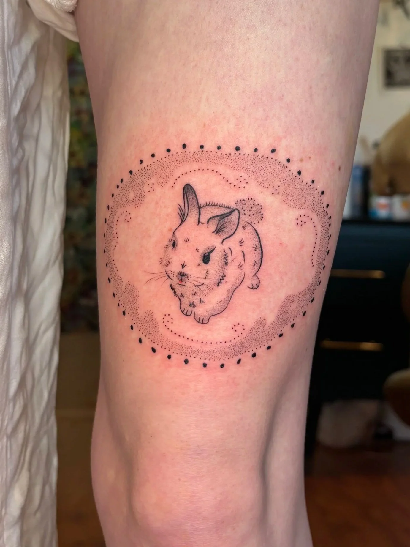 bunny+in+frame.jpg