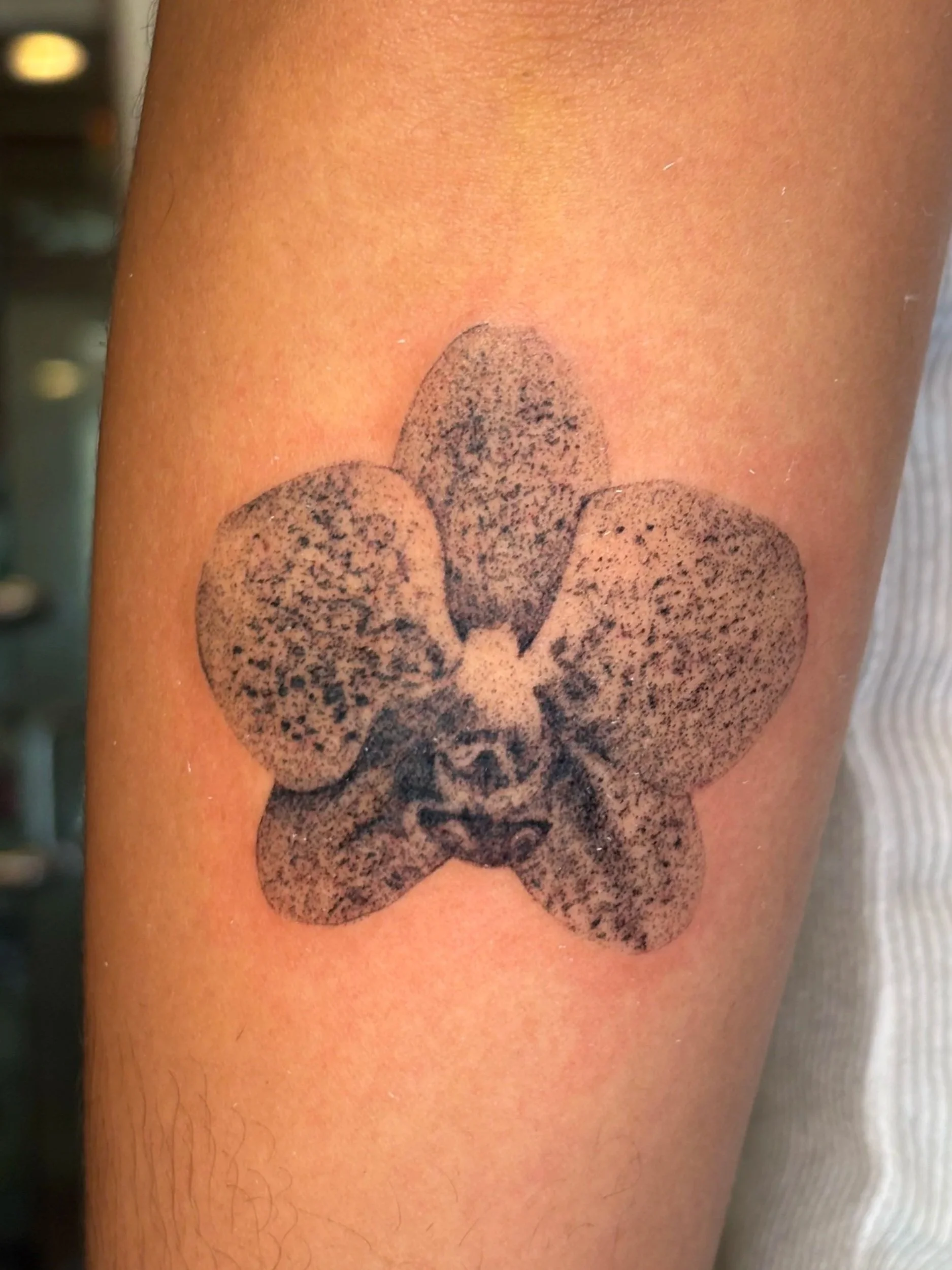 orchid+realism.jpg