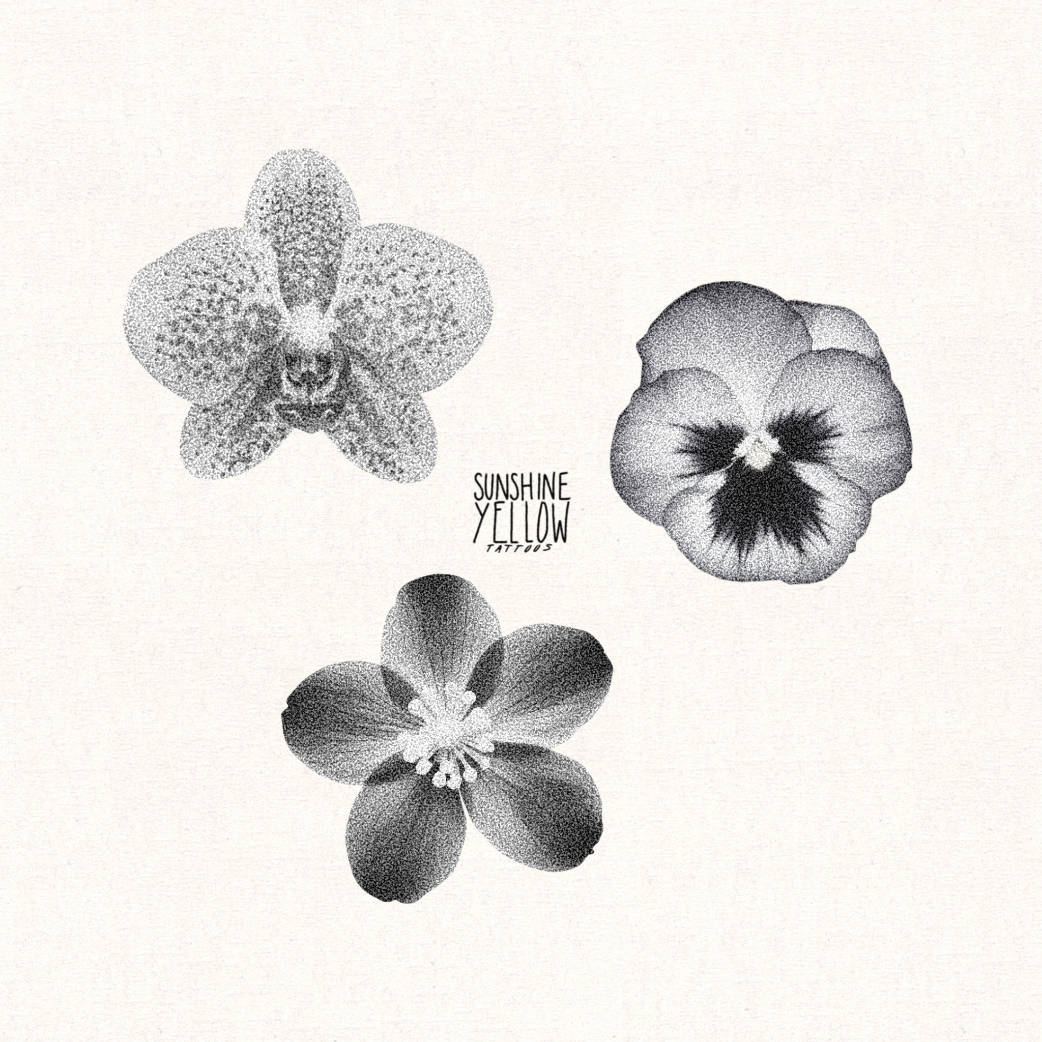 Untitled_Artwork 10.PNG