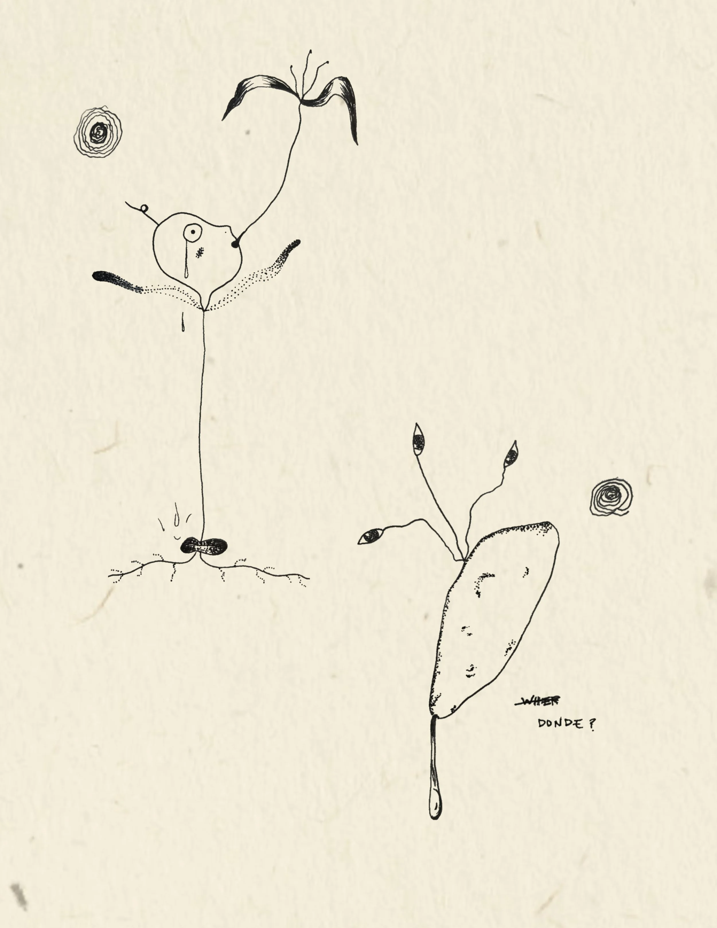 JPEG image-9FBBAEE5DF80-1.jpeg