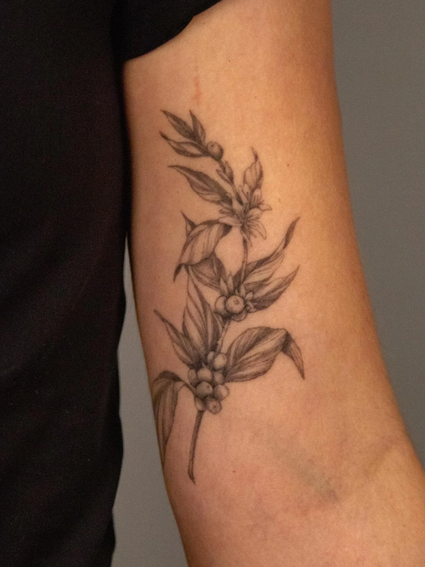 May your day be merry and bright ✨🎄&hearts;️