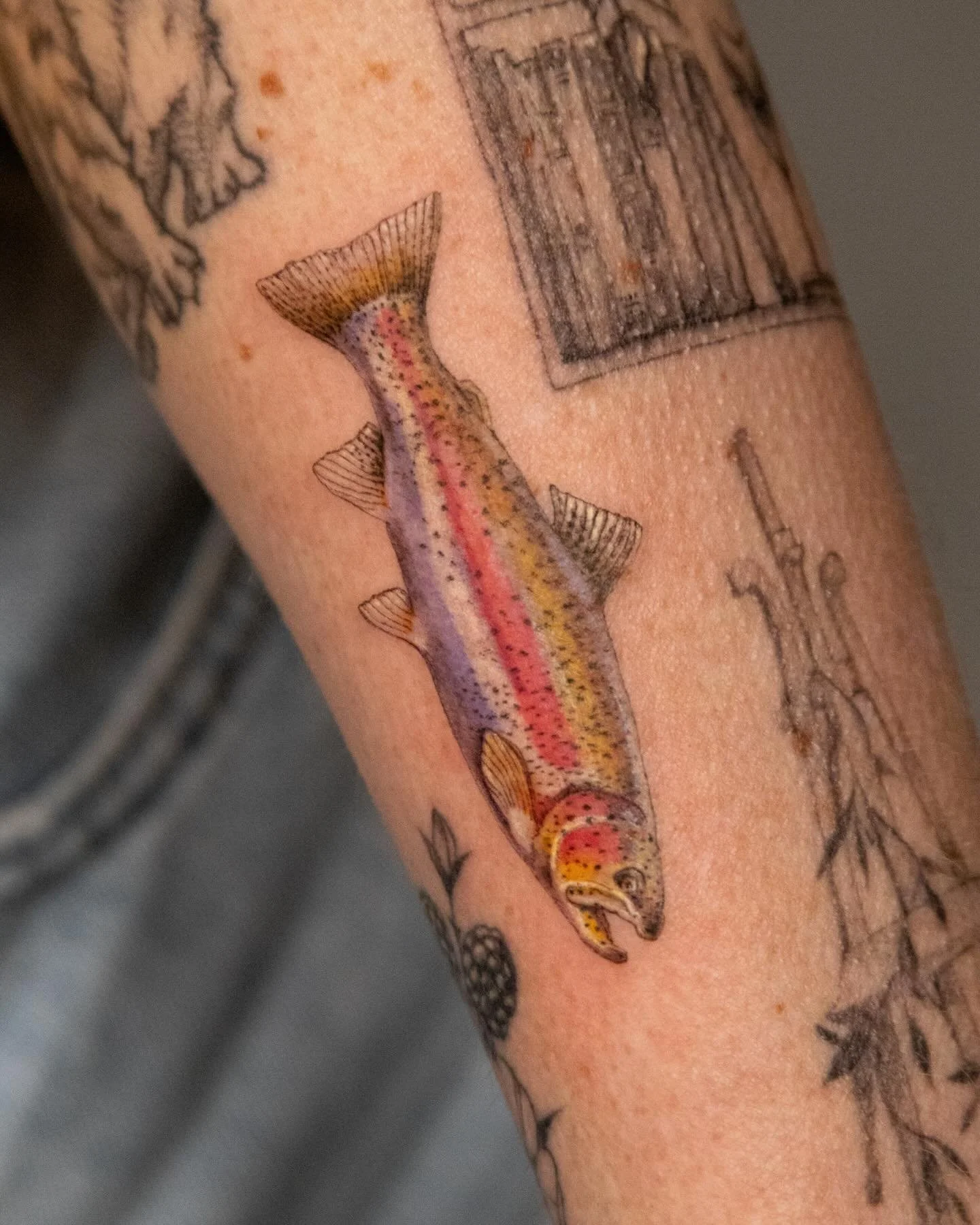a micro realism rainbow trout for Crystal ✨

#tattoo #colortattoo #finelinetattoo ##microrealismtattoo