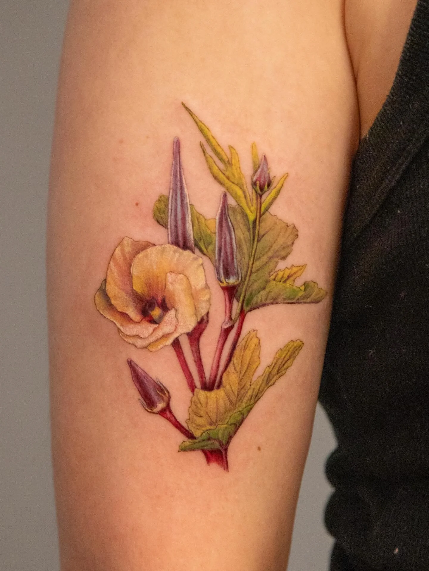 some okra for Ellie ✨

I got to tattoo this during my guest spot @fortunata.tattoo in Spokane, WA! I&rsquo;ll be guest spotting again in July 

It&rsquo;s always so fun to tattoo an uncommon botanical or flower! I loved putting together this composit