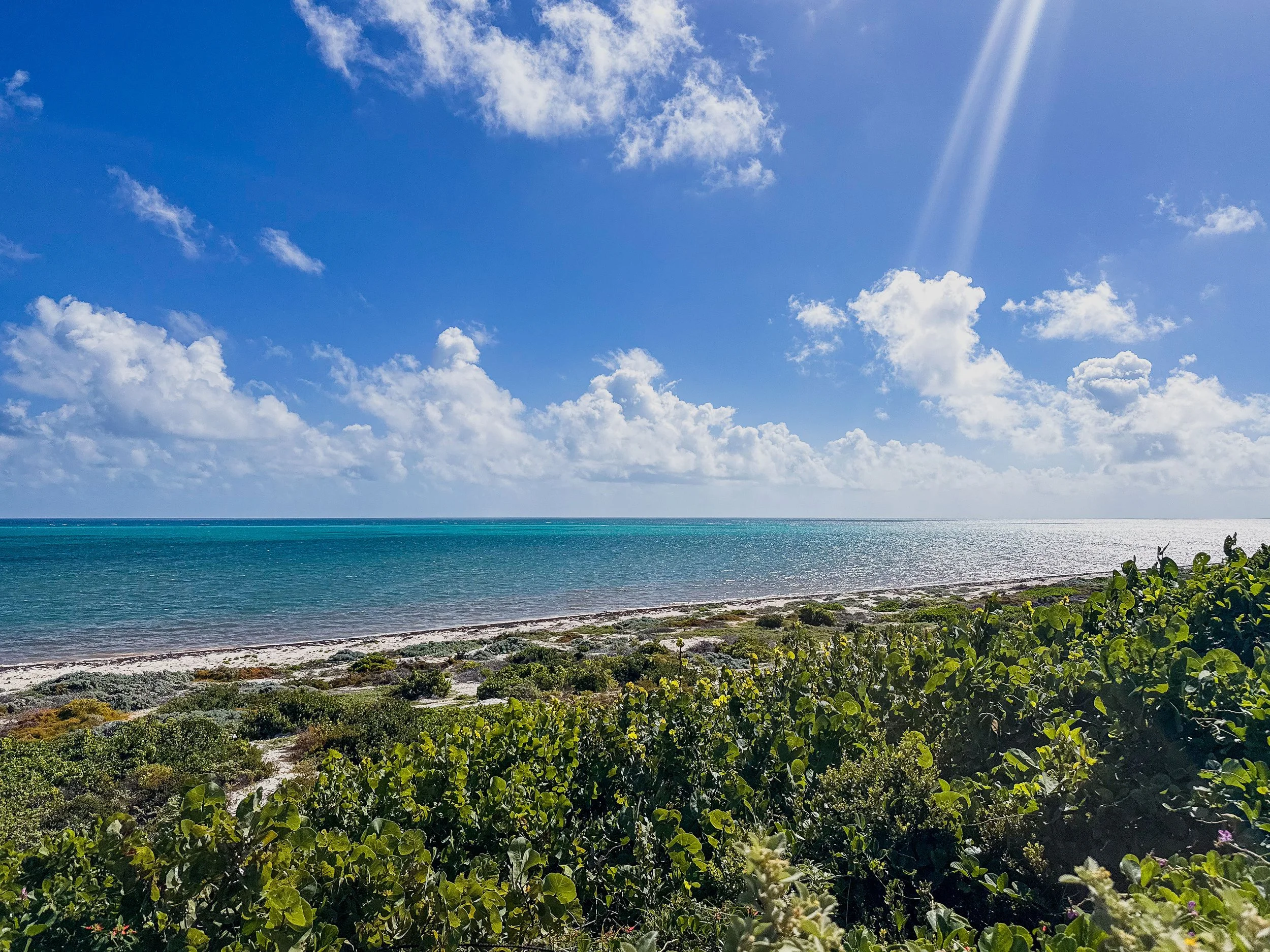 Sunny beach with turquoise water, green shrubbery in foreground, blue sky with clouds, and sun rays shining down.