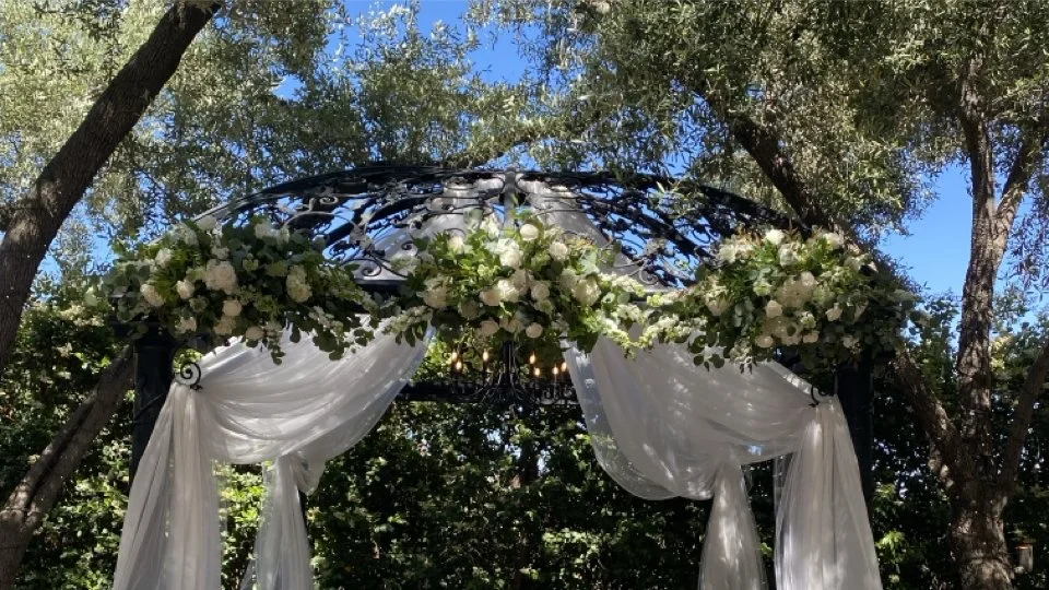 EFD slideshow 2.072.jpeg