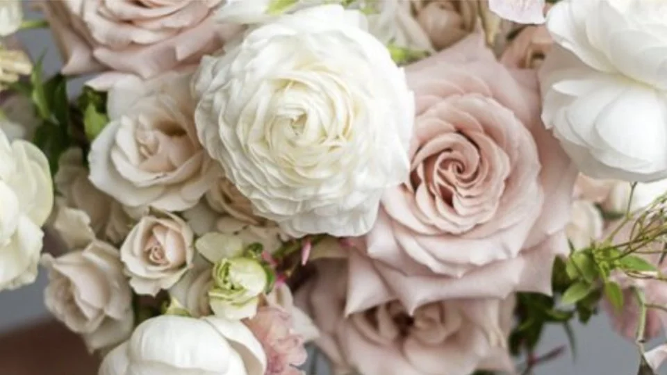 EFD slideshow 2.028.jpeg