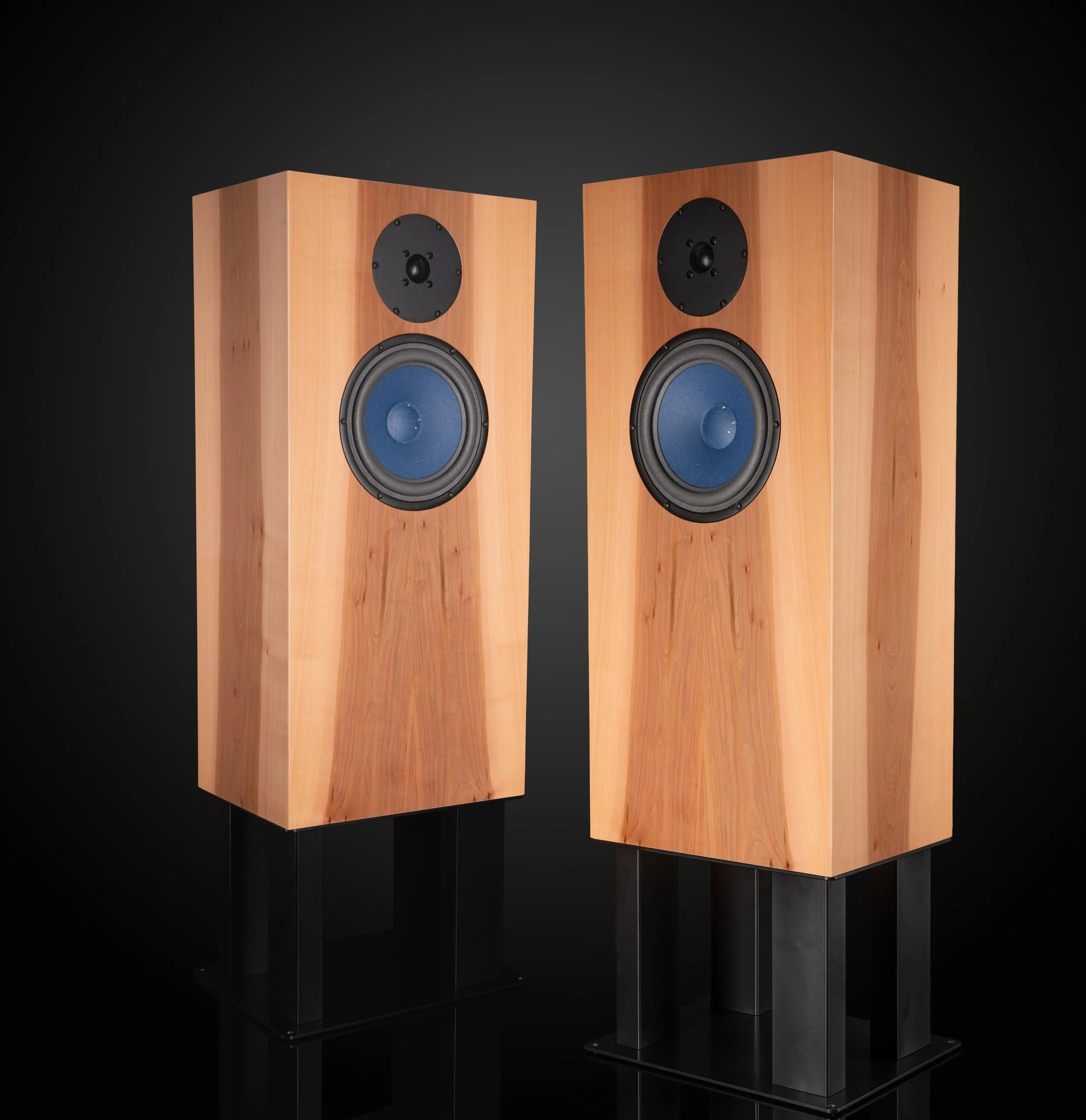 Part 3: Breaking the Binary: Audio Note’s Hybrid Design Explained