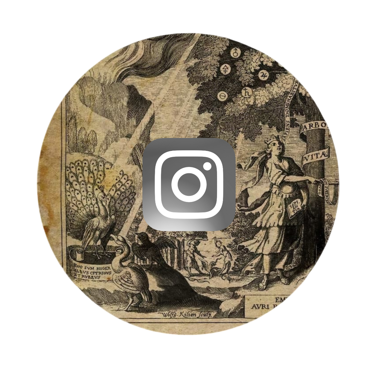 Alquimia Instagram