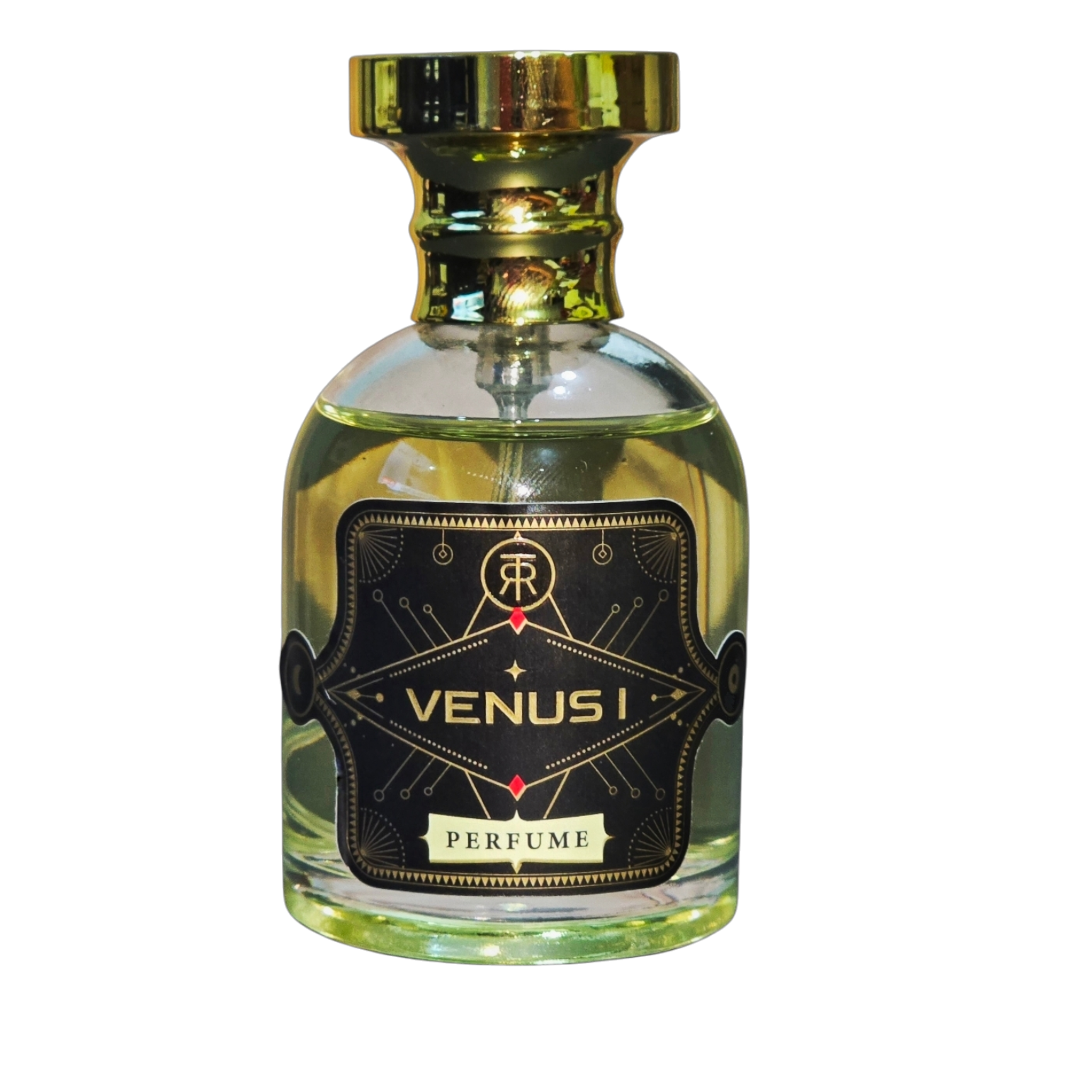 VENUS I