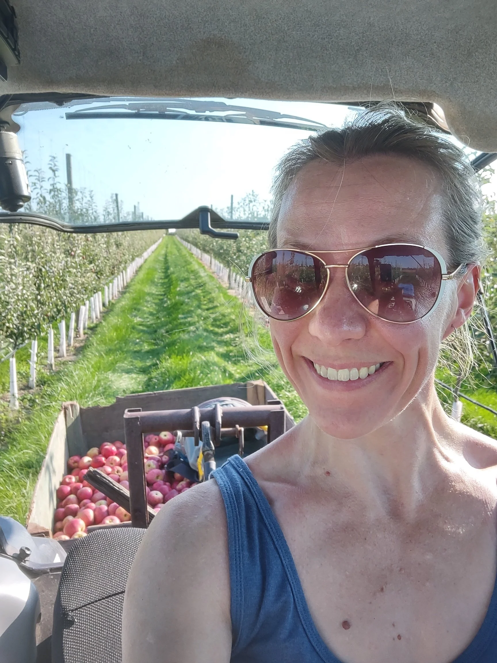 The Little Cider Company