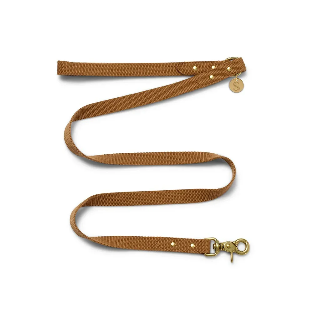 Sebastian Says Webbing Lead