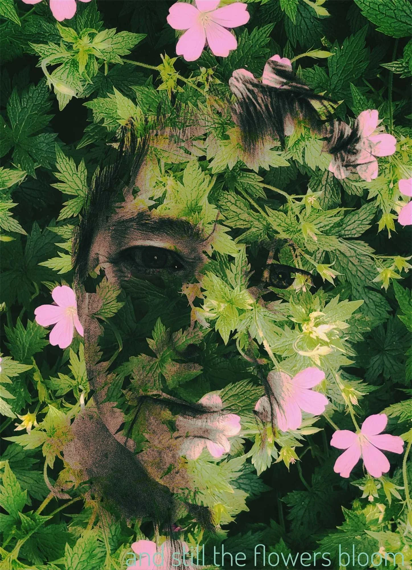 and still the flowers bloom