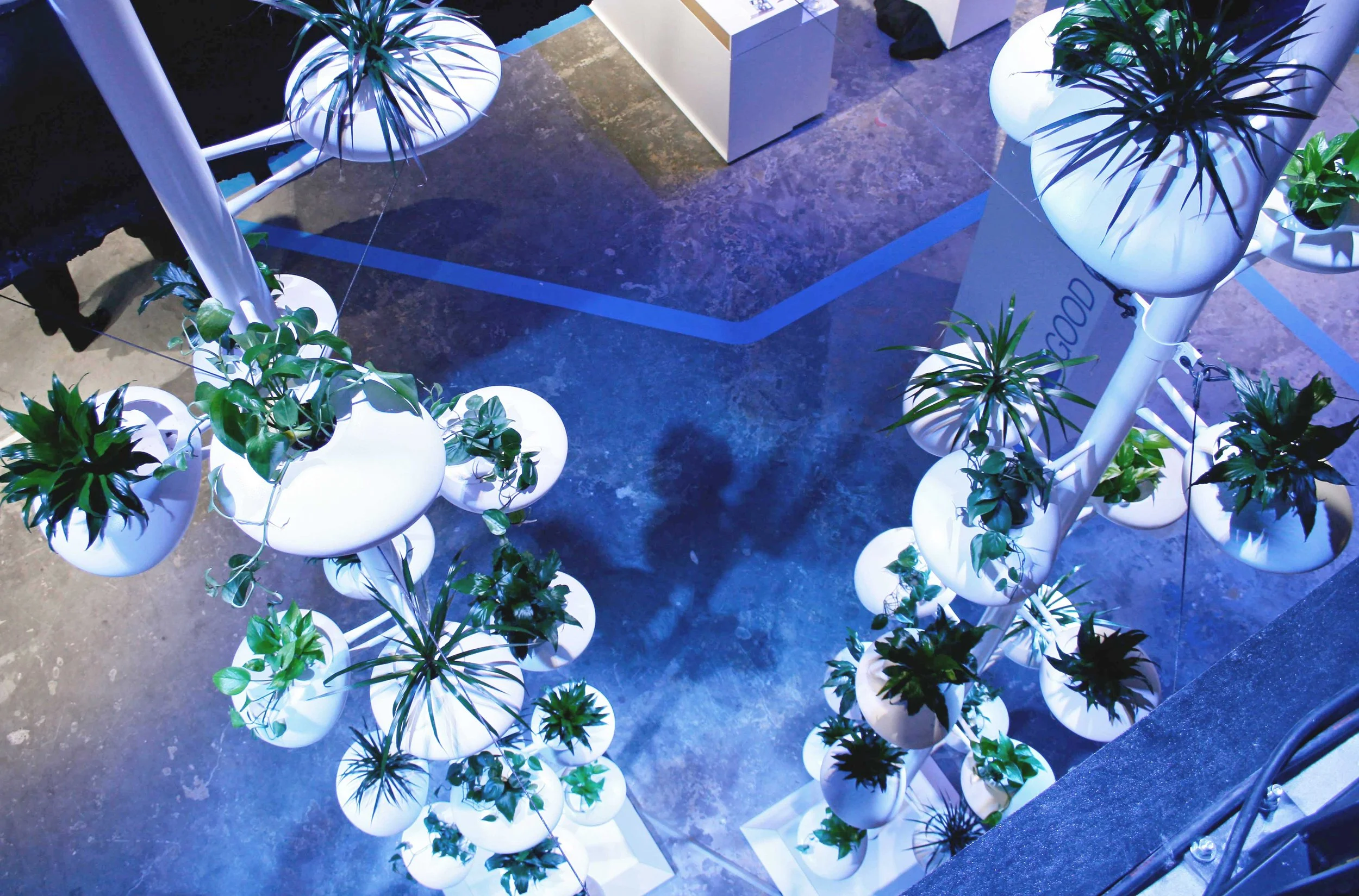 BMW Vertical Gardens Danielle Trofe