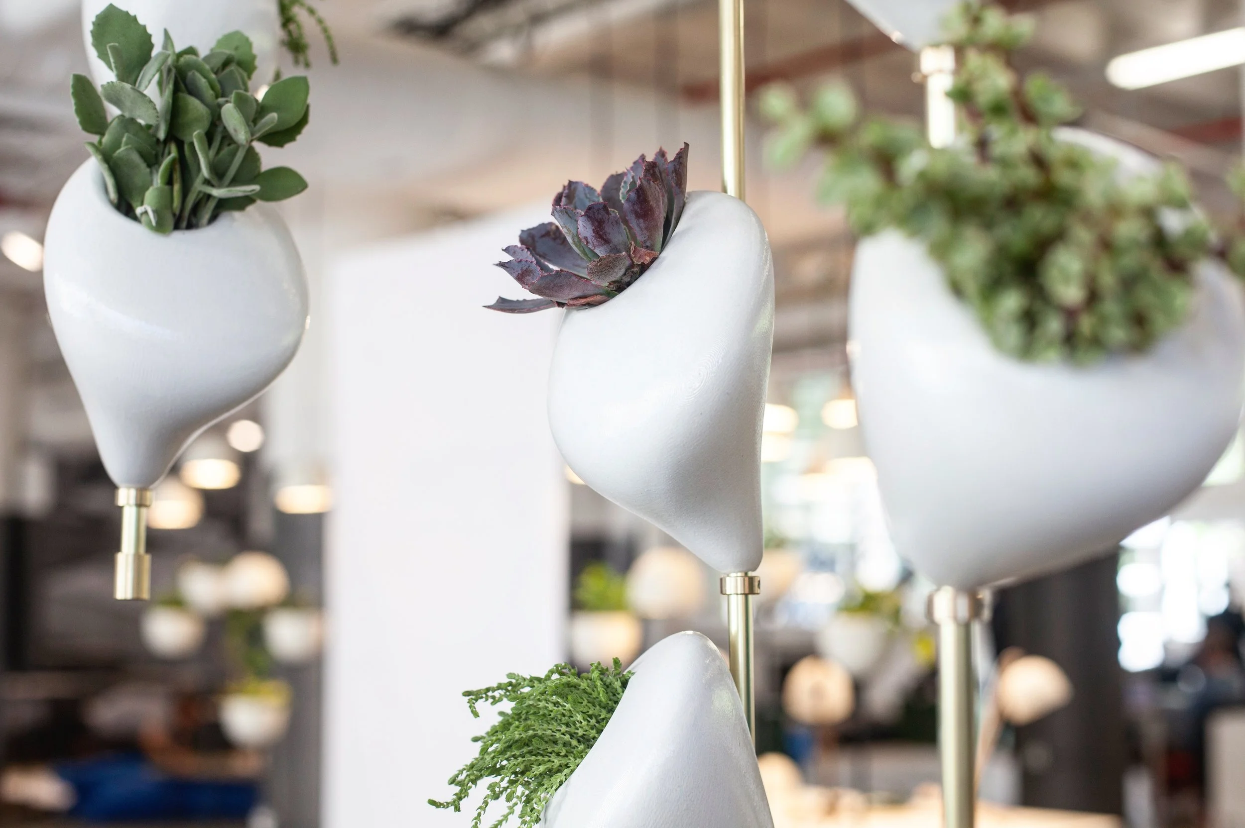 Vertical Gardens