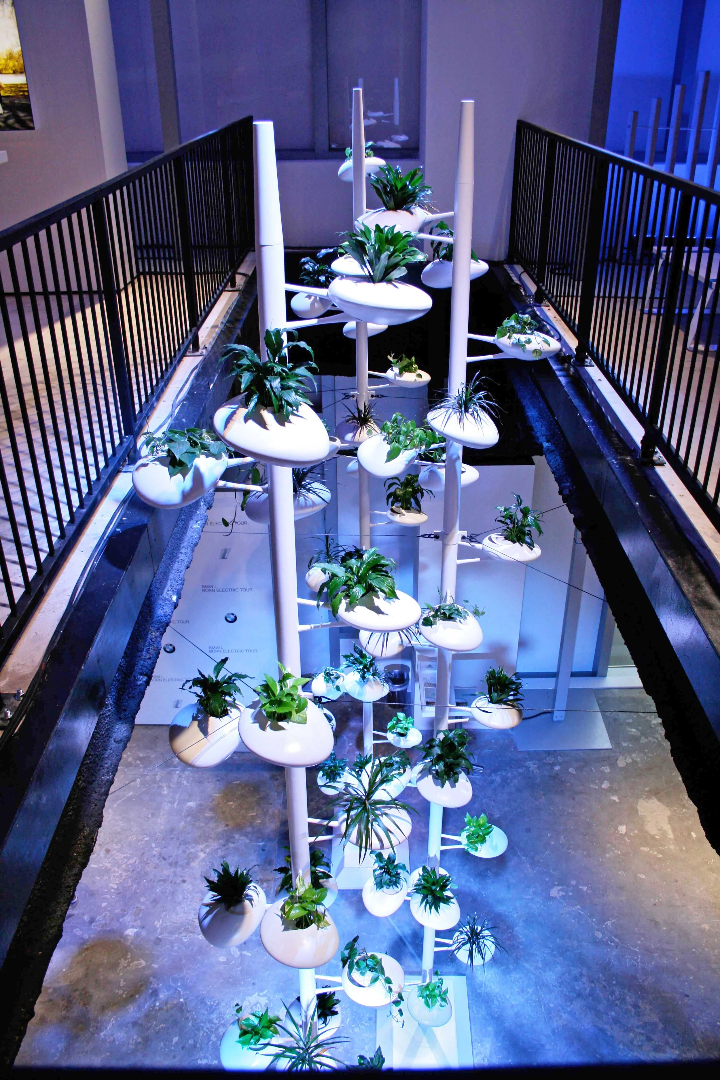 BMW Vertical Gardens Danielle Trofe