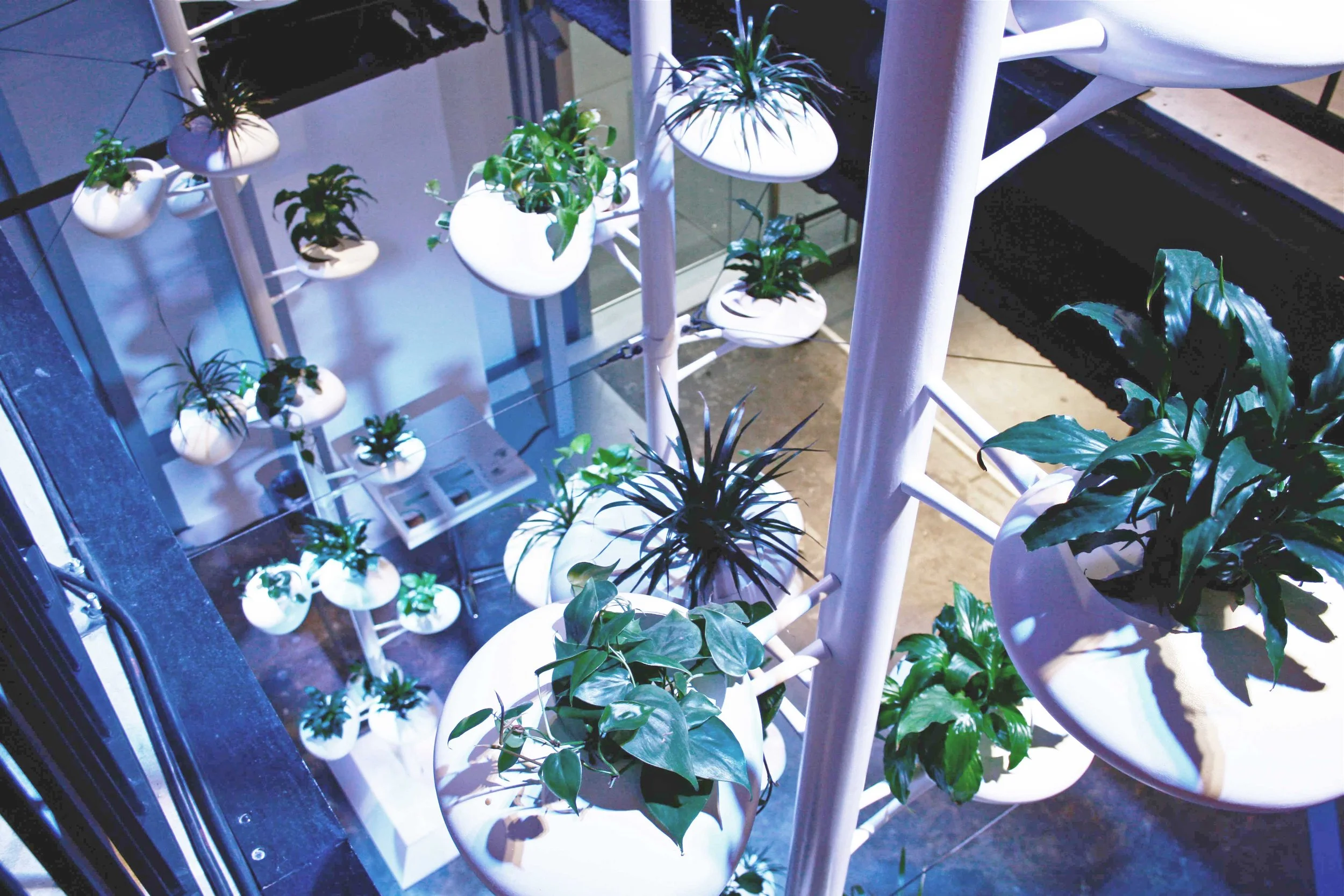 BMW Vertical Gardens Danielle Trofe