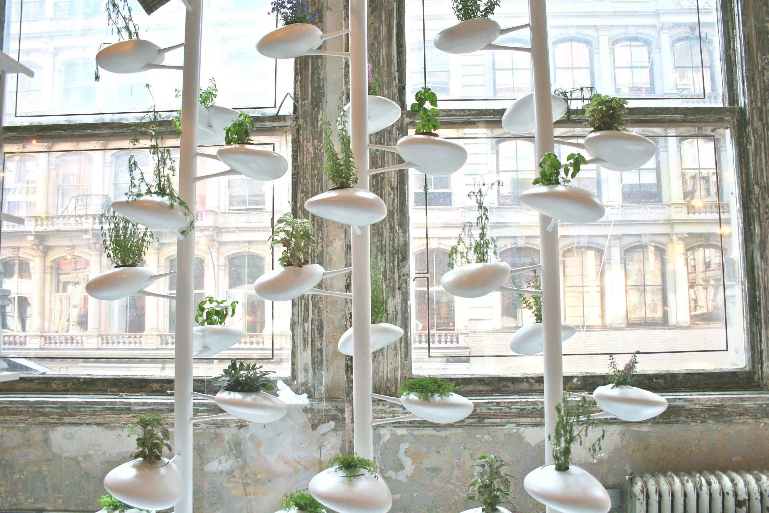 ABC Home Vertical Gardens Danielle Trofe