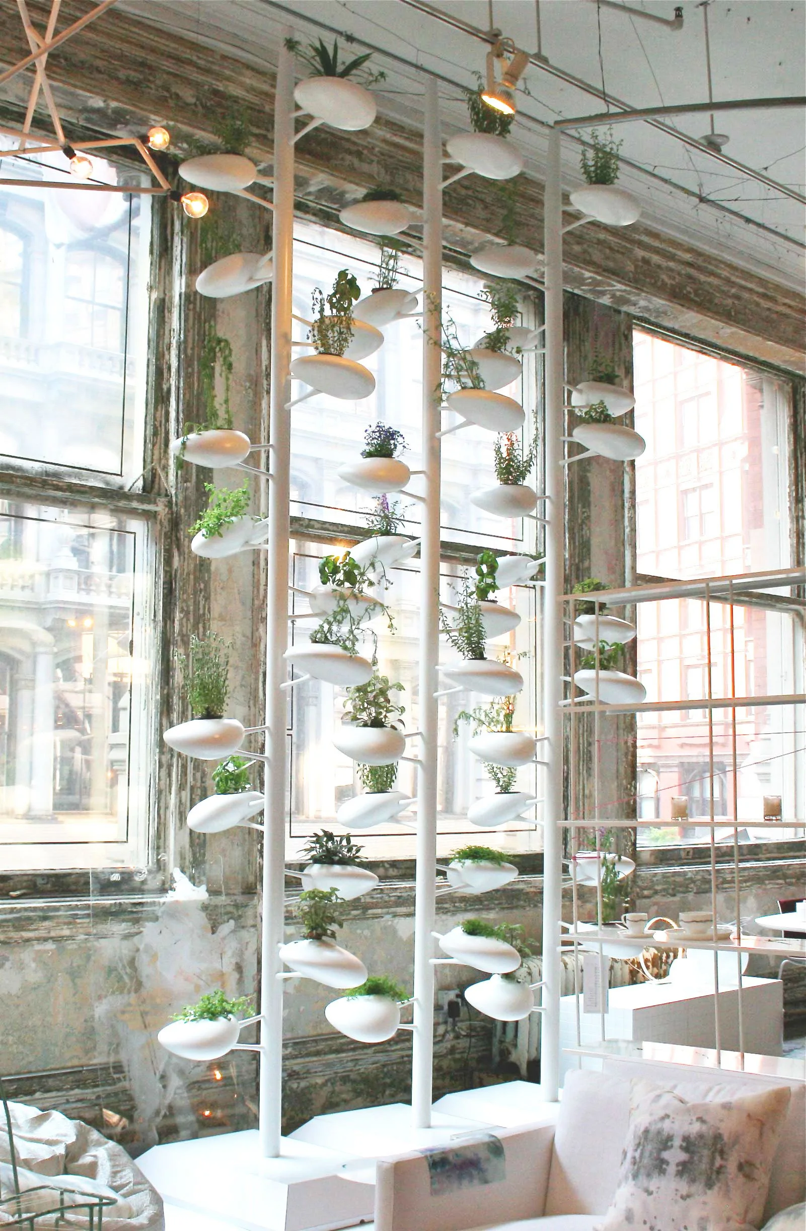 ABC Home Vertical Gardens Danielle Trofe