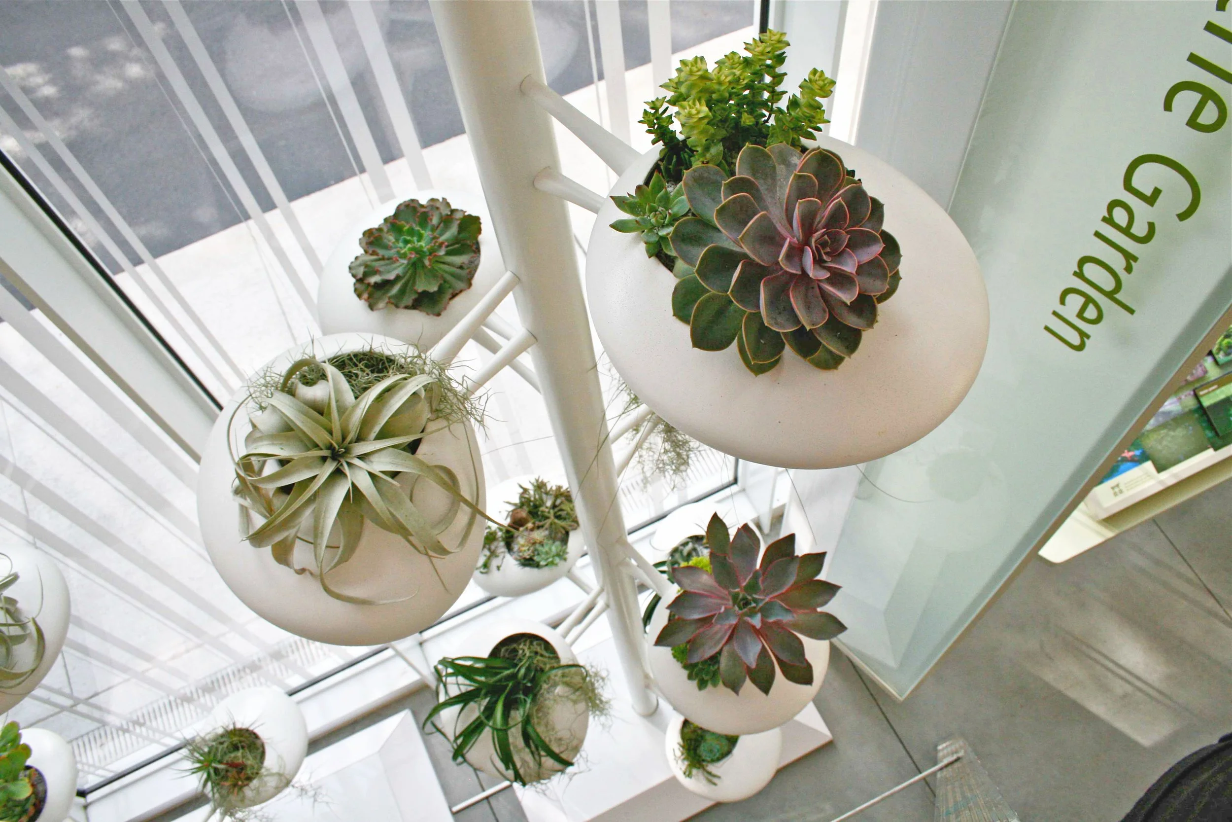Brooklyn Botanic Garden Vertical Garden Danielle Trofe