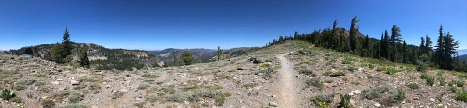 Trail Running: How to Beat Downhill Knee Pain This Summer