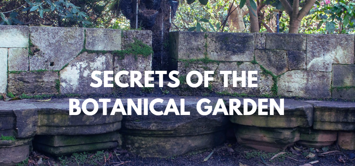 Secrets of the Botanical Garden: A Guided Walk at 1PM